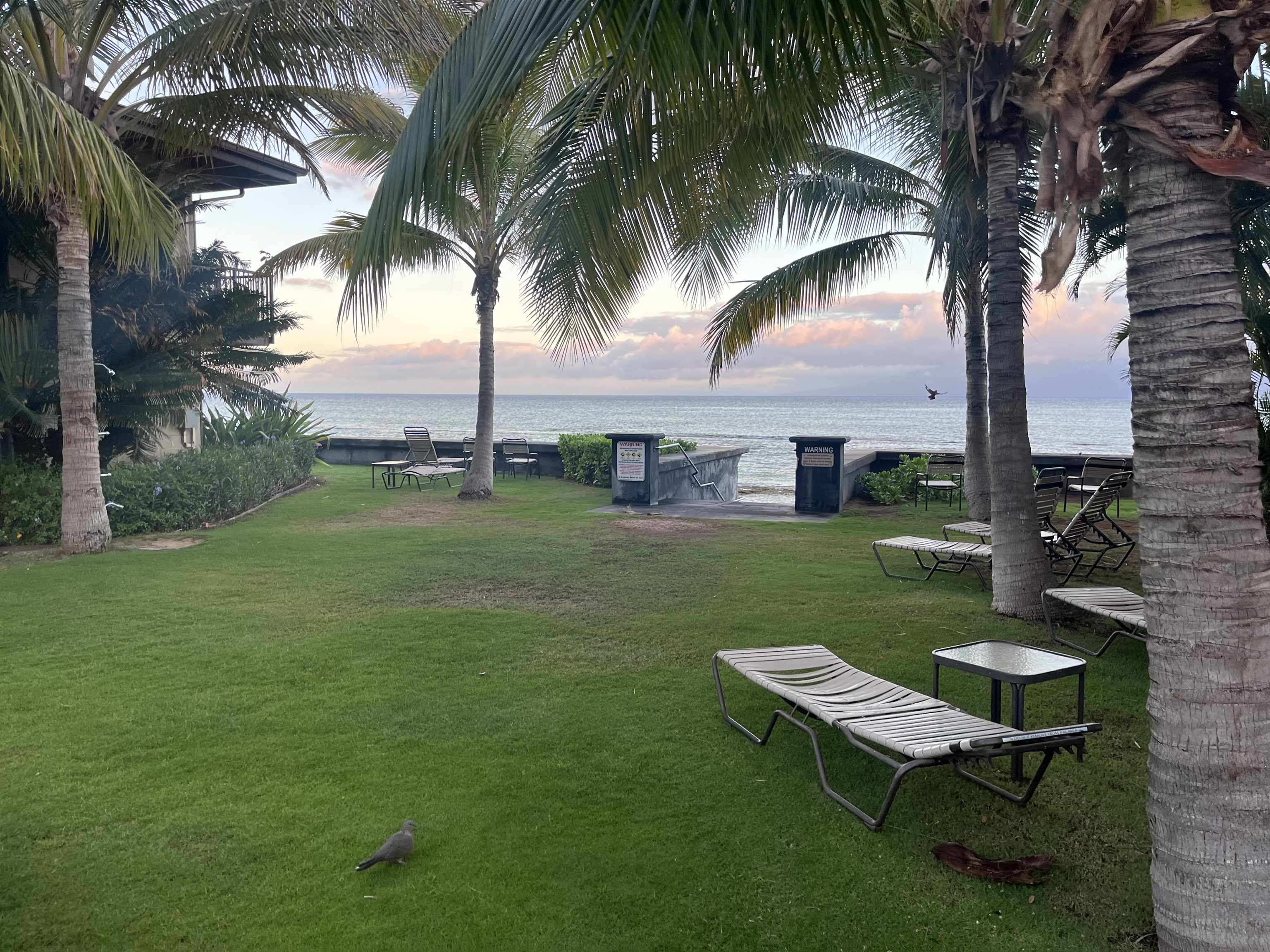 Maui Sands I condo # 3C, Lahaina, Hawaii - photo 8 of 22