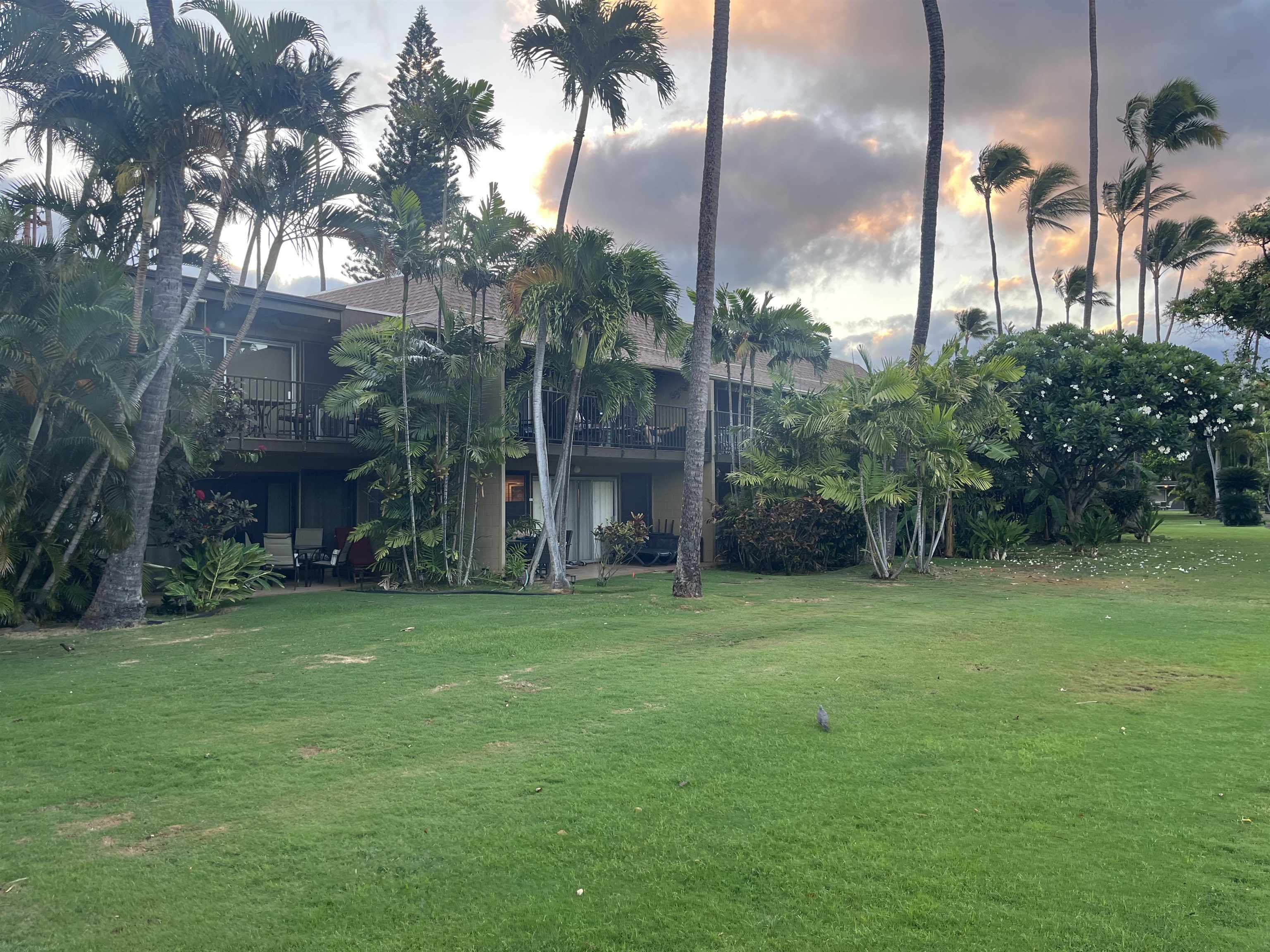 Maui Sands I condo # 3C, Lahaina, Hawaii - photo 9 of 22