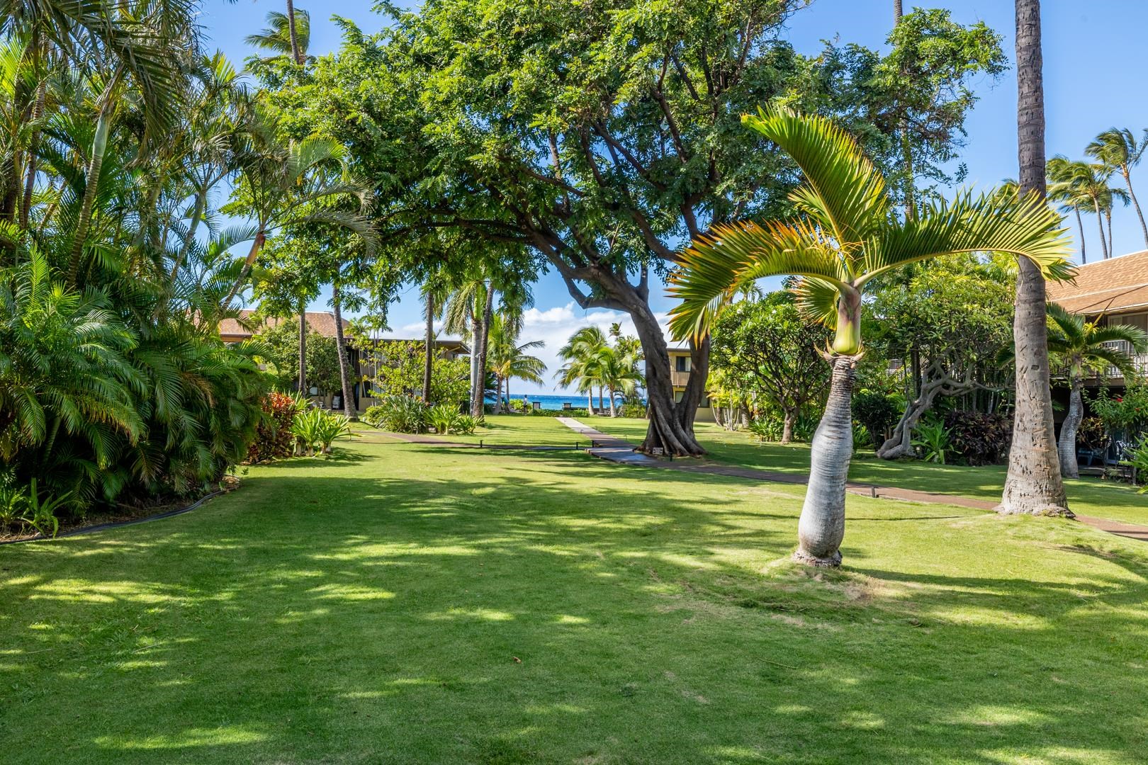 Maui Sands I condo # 4A, Lahaina, Hawaii - photo 33 of 36