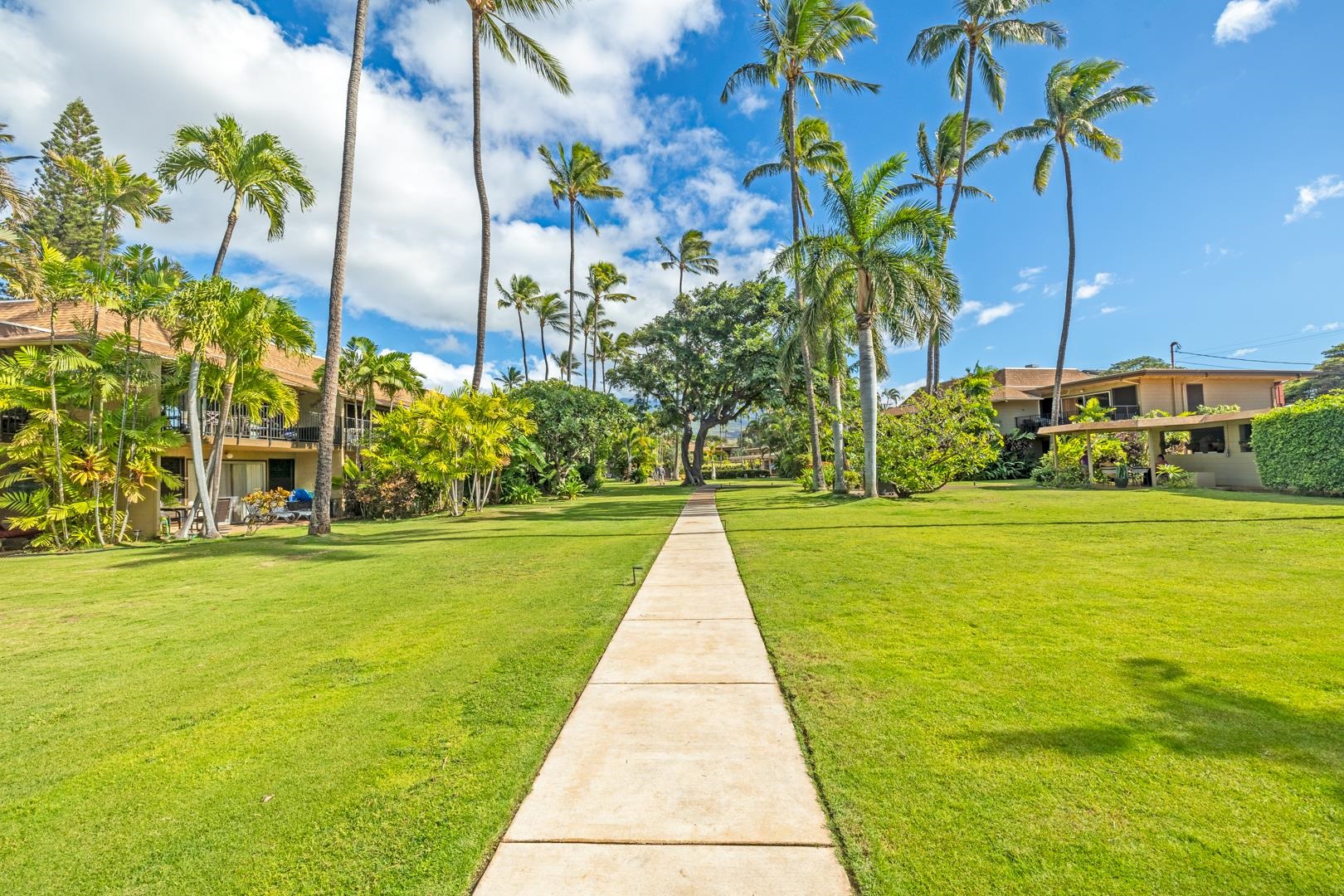 Maui Sands I condo # 4A, Lahaina, Hawaii - photo 36 of 36