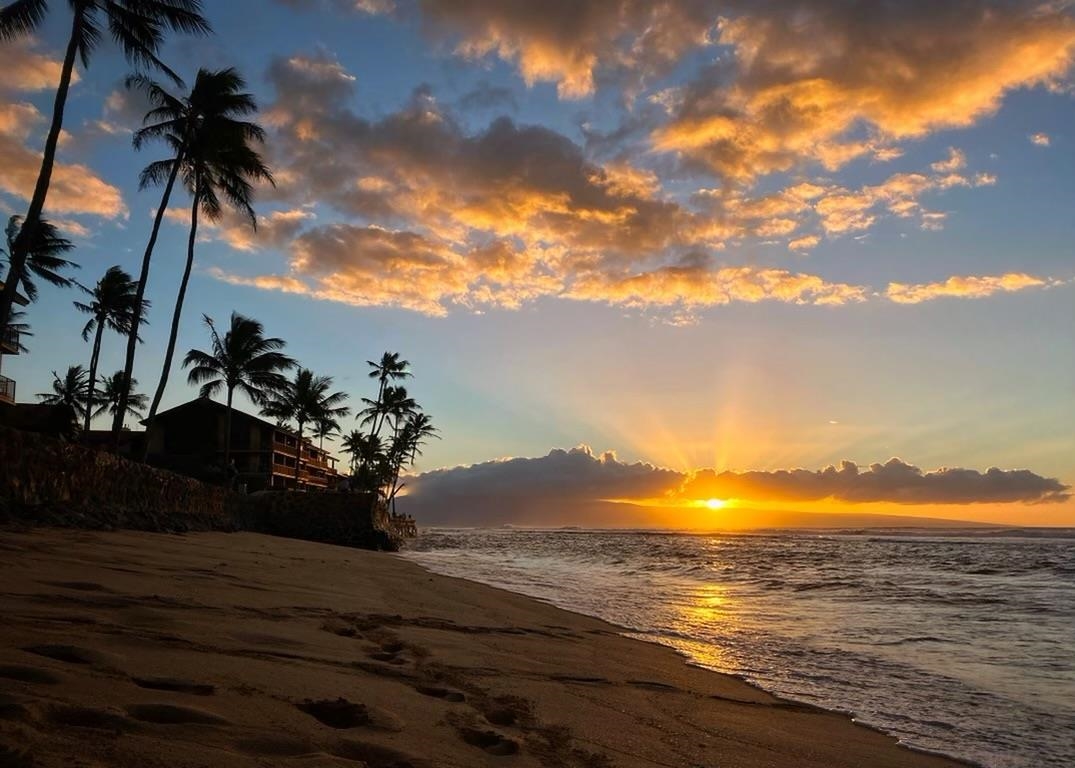 Maui Sands I condo # 5D, Lahaina, Hawaii - photo 18 of 28