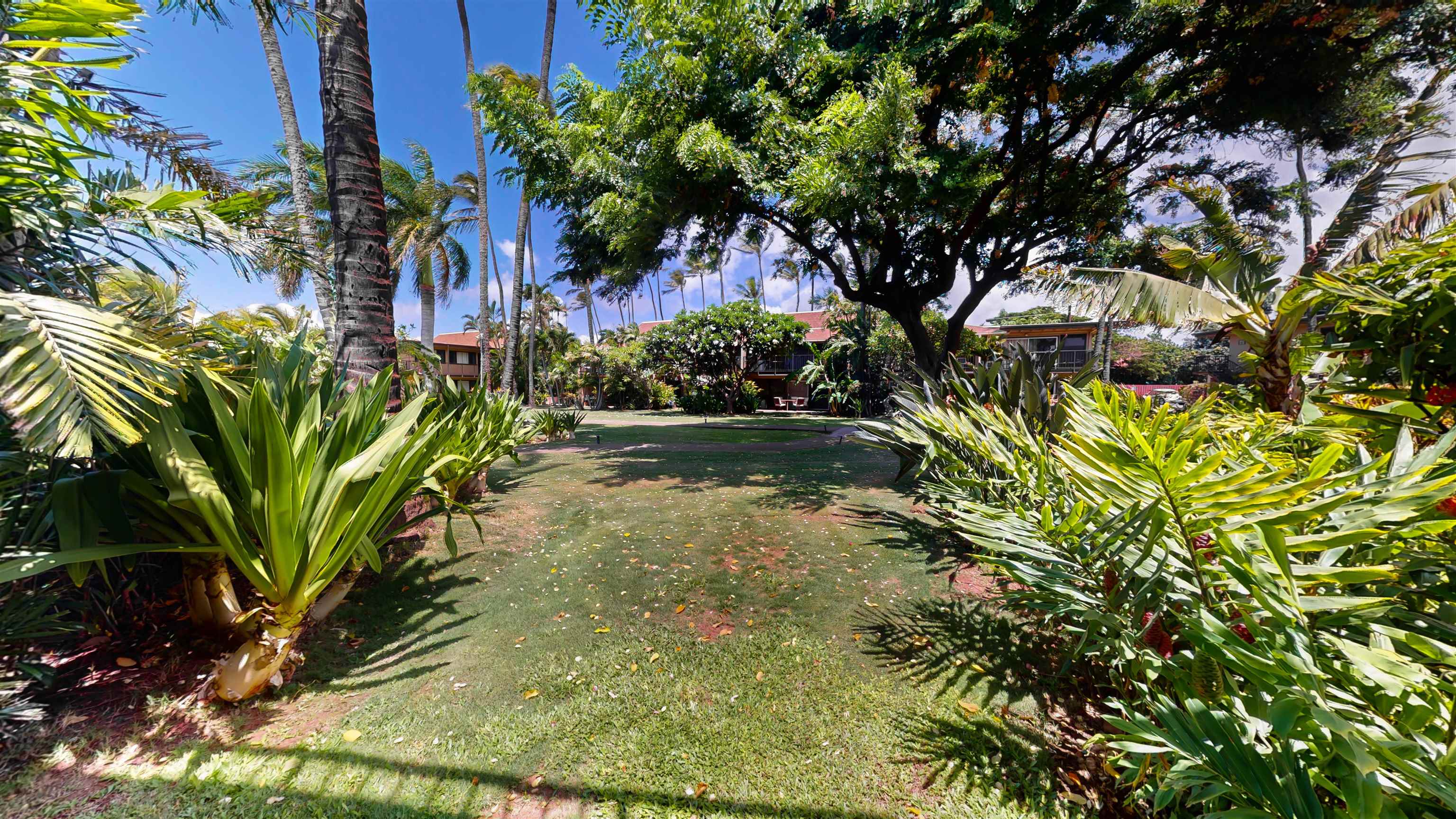 Maui Sands I condo # 6C, Lahaina, Hawaii - photo 10 of 15