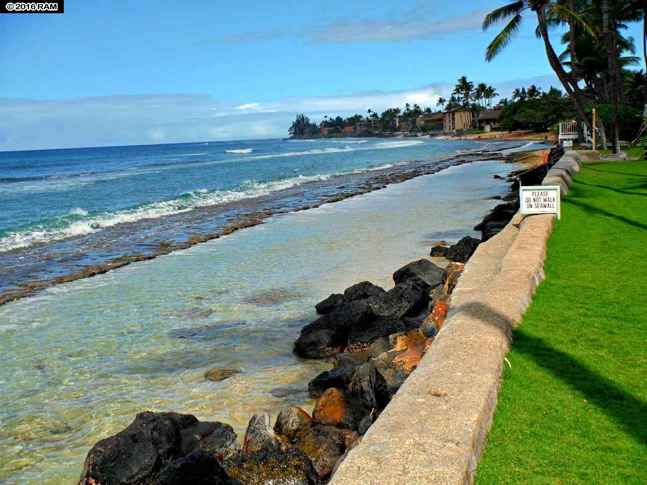 Maui Sands I condo # 6D, Lahaina, Hawaii - photo 27 of 29