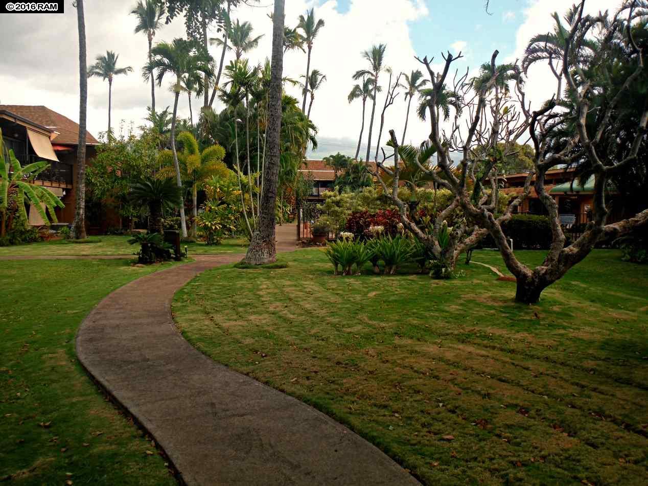 Maui Sands I condo # 6D, Lahaina, Hawaii - photo 28 of 29