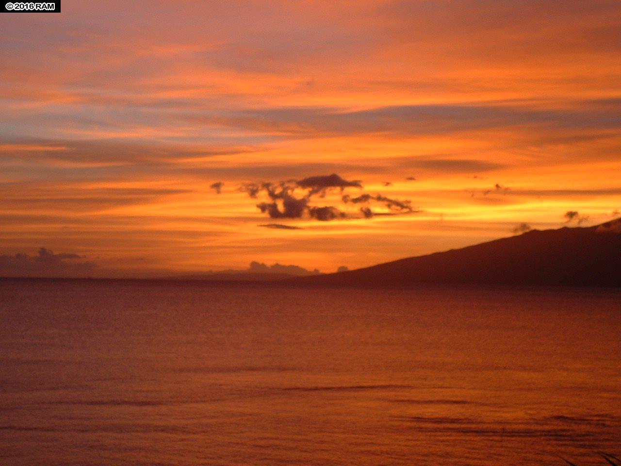Maui Sands I condo # 6D, Lahaina, Hawaii - photo 29 of 29