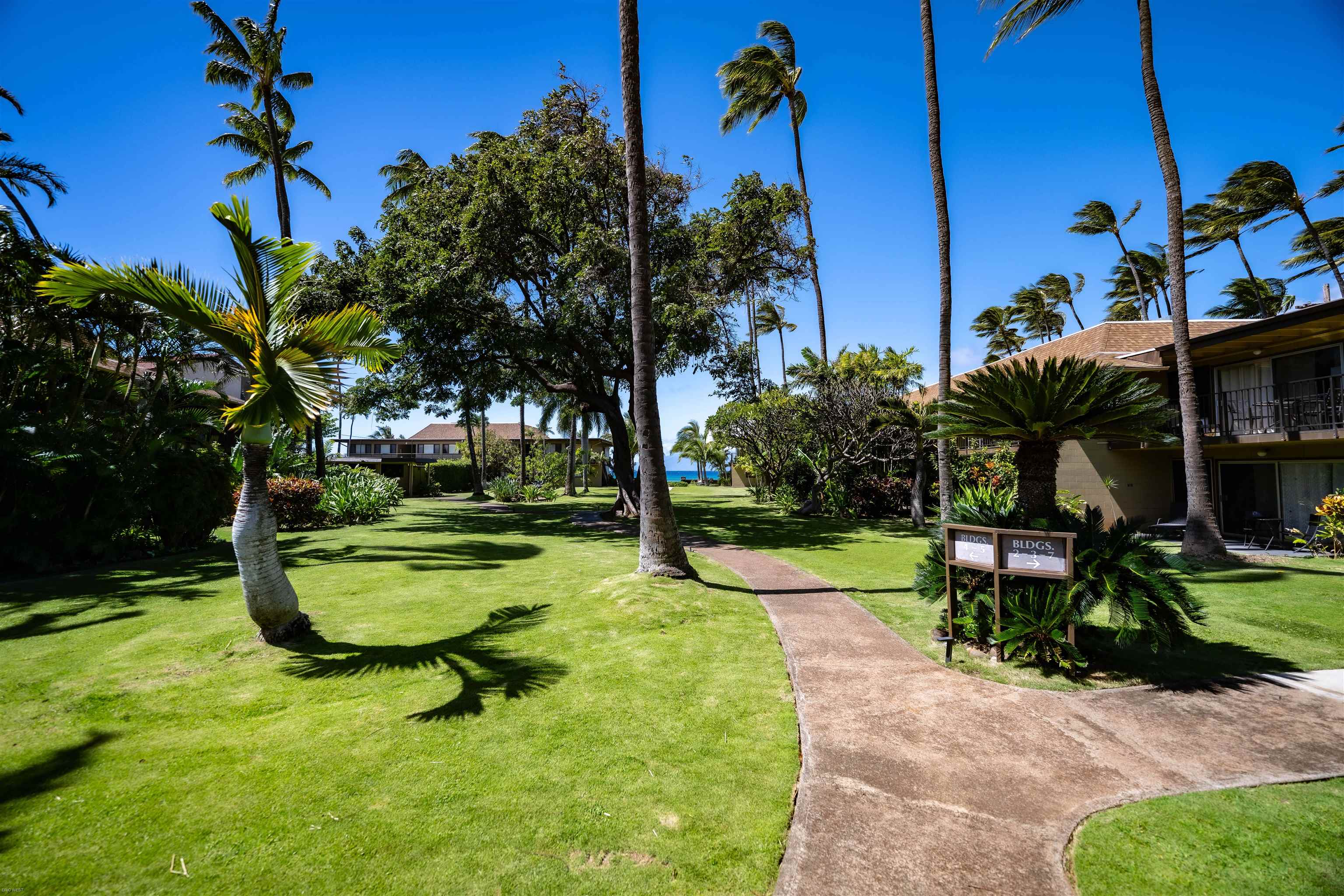 Maui Sands I condo # 6F, Lahaina, Hawaii - photo 27 of 34