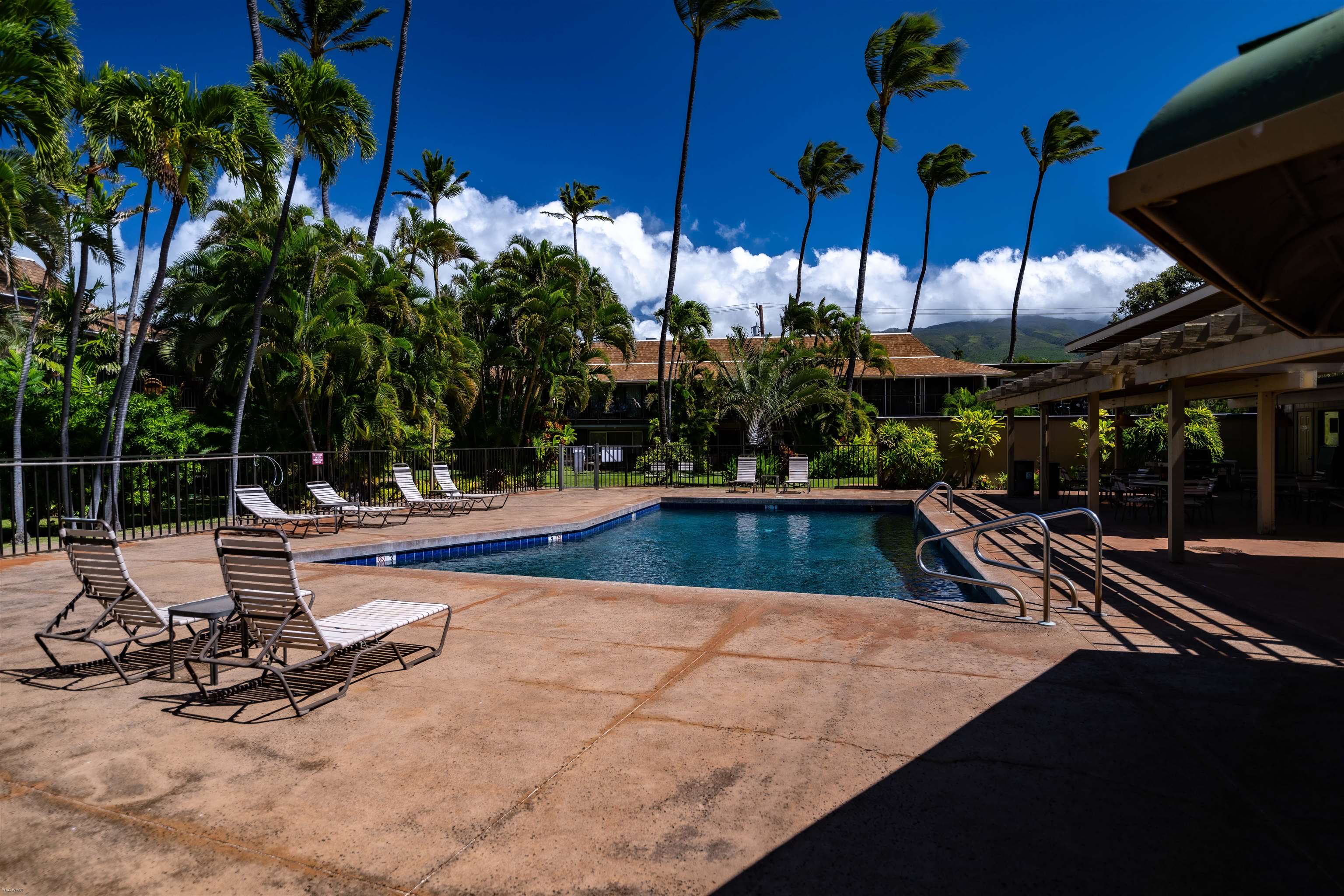 Maui Sands I condo # 6F, Lahaina, Hawaii - photo 28 of 34