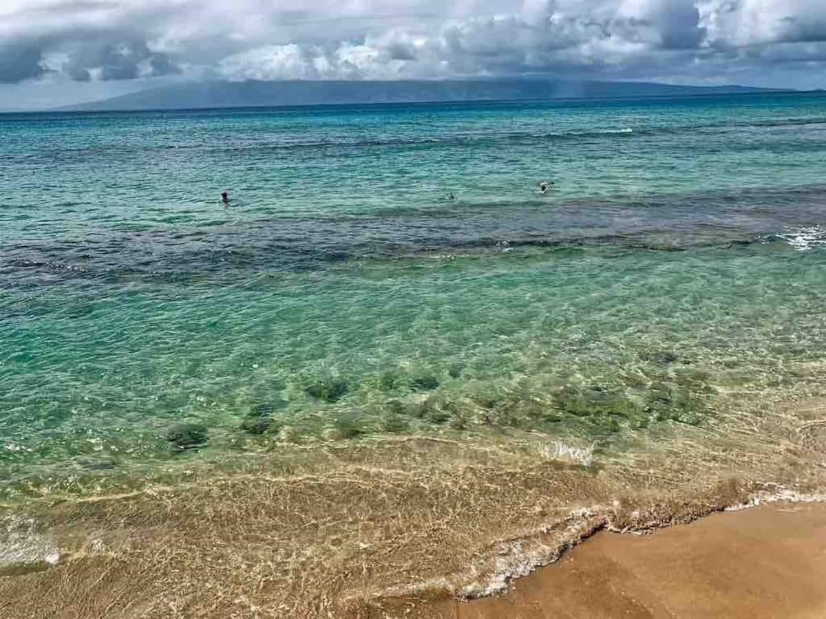 Maui Sands Seaside condo # 705, Lahaina, Hawaii - photo 13 of 17