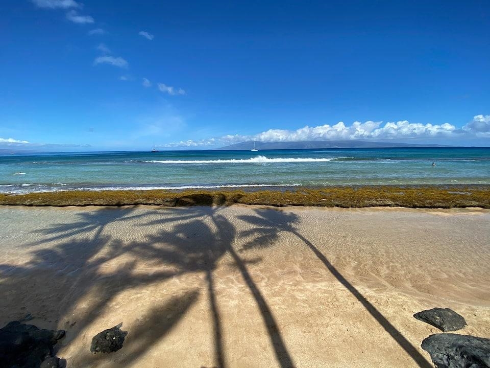 Maui Sands Seaside condo # 705, Lahaina, Hawaii - photo 17 of 17