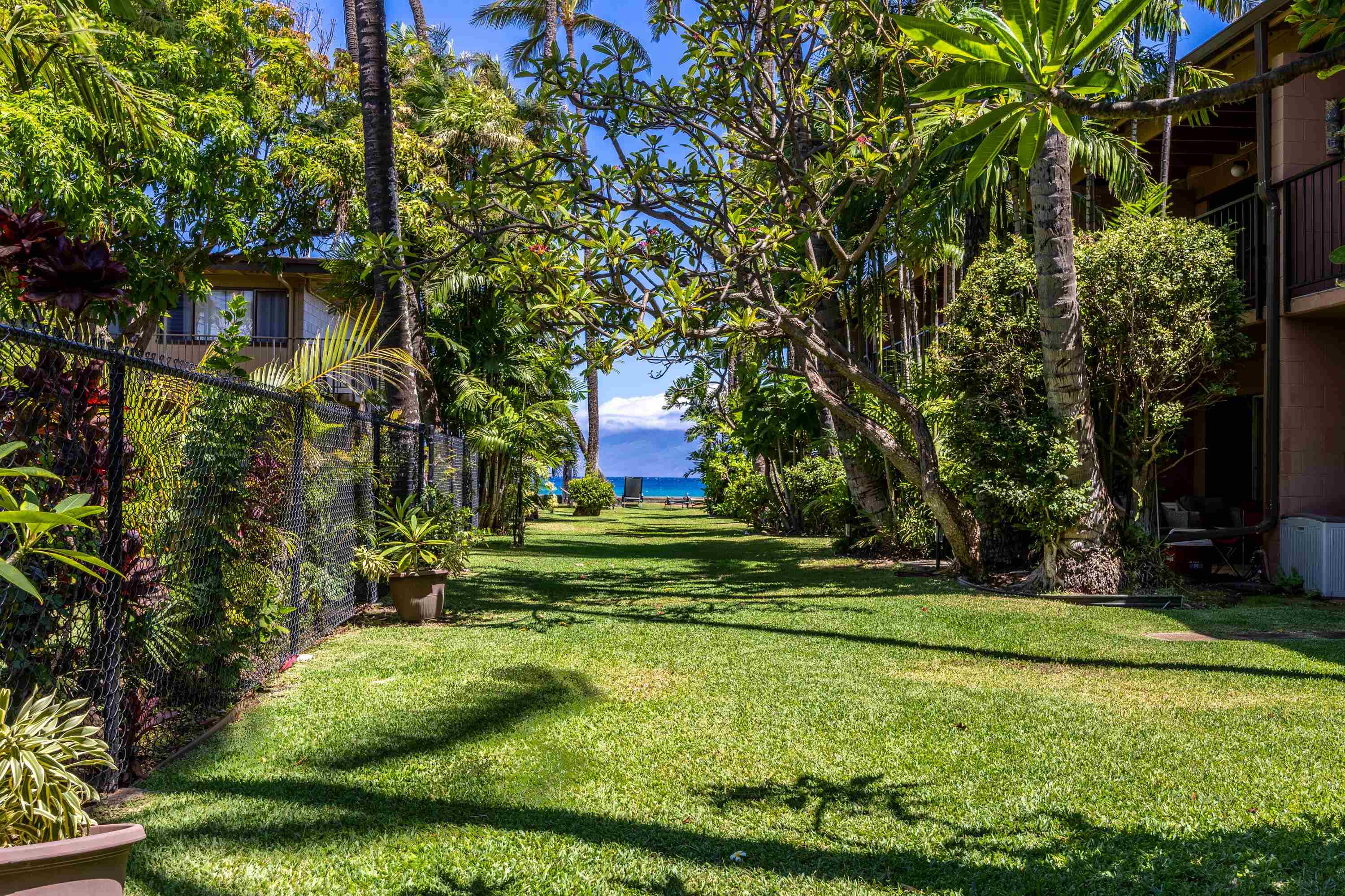 Maui Sands Seaside condo # 708, Lahaina, Hawaii - photo 3 of 47