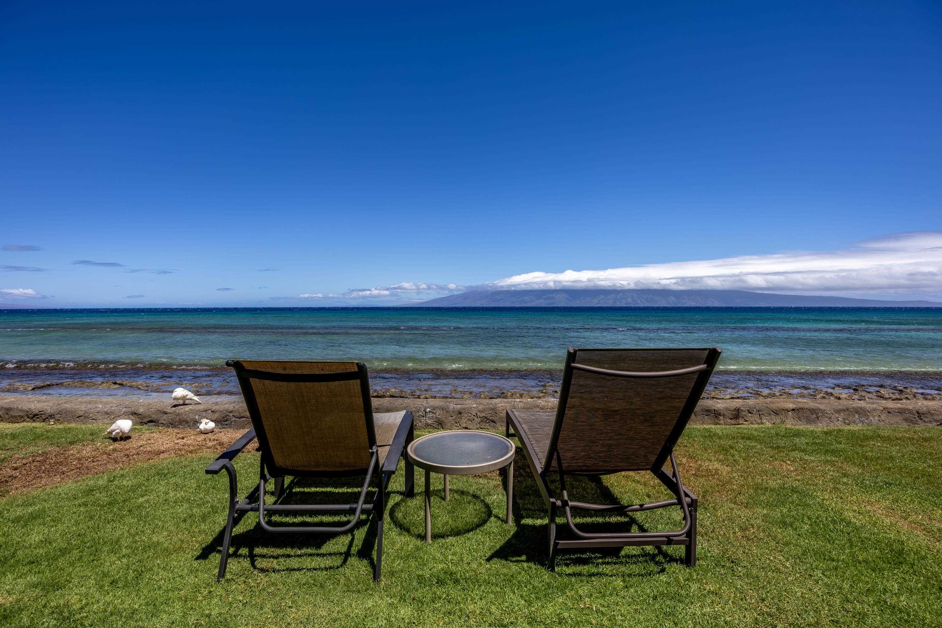 Maui Sands Seaside condo # 708, Lahaina, Hawaii - photo 36 of 47