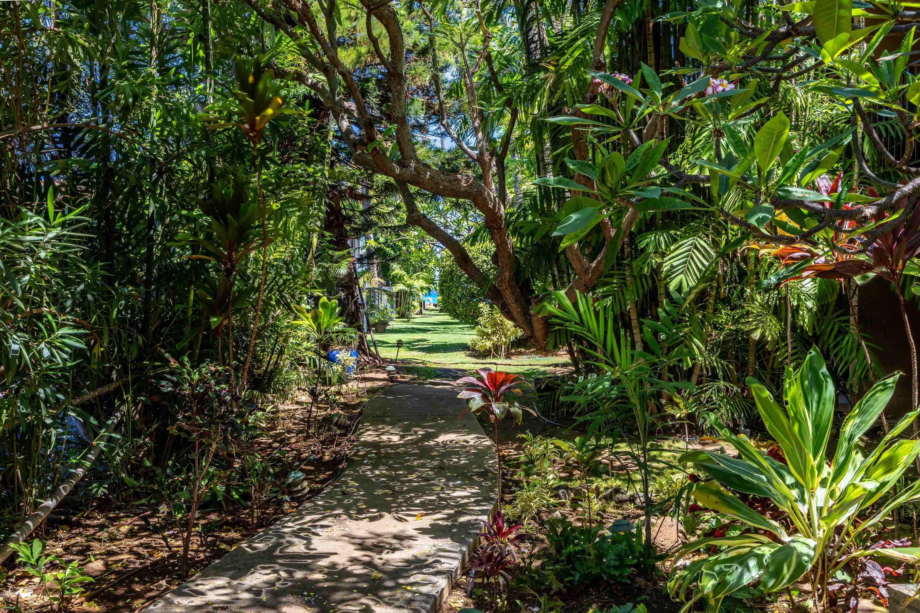 Maui Sands Seaside condo # 708, Lahaina, Hawaii - photo 41 of 47