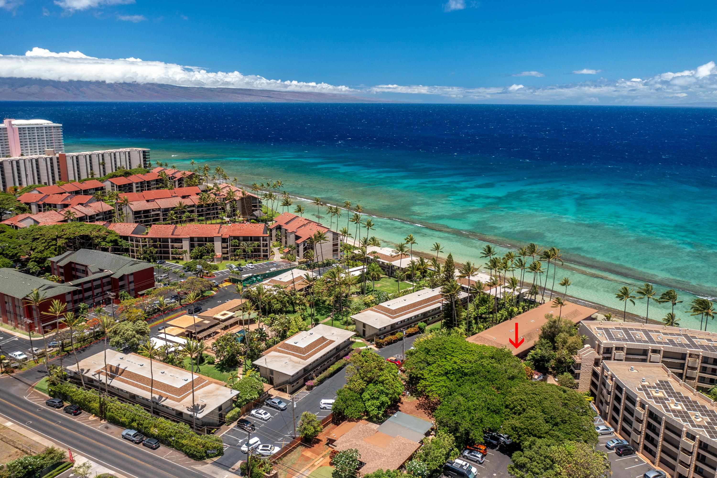 Maui Sands Seaside condo # 708, Lahaina, Hawaii - photo 42 of 47