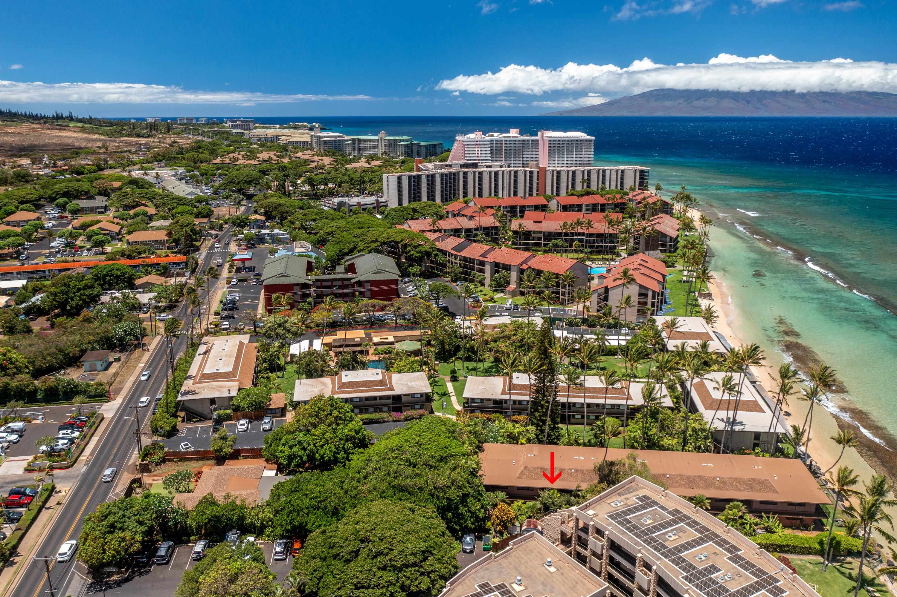 Maui Sands Seaside condo # 708, Lahaina, Hawaii - photo 43 of 47