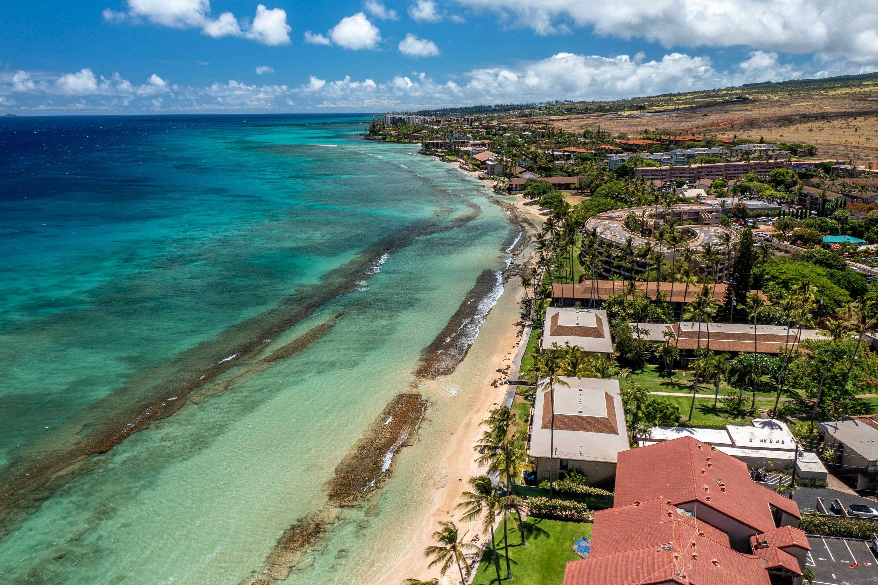 Maui Sands Seaside condo # 708, Lahaina, Hawaii - photo 46 of 47