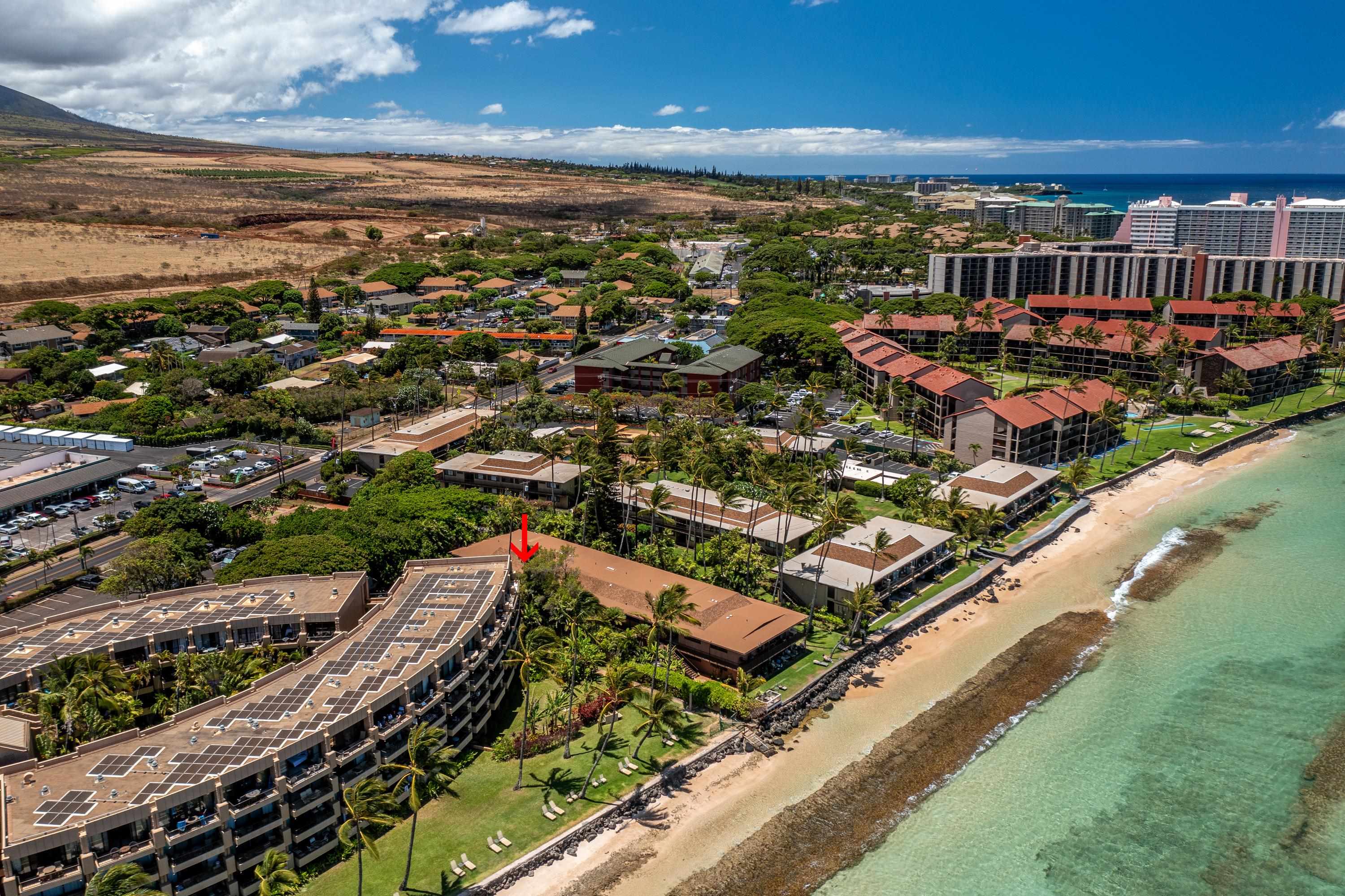 Maui Sands Seaside condo # 708, Lahaina, Hawaii - photo 8 of 47