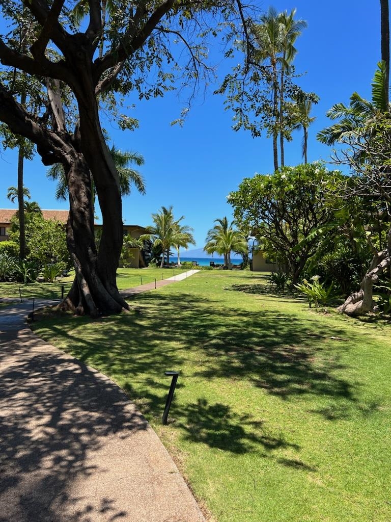 Maui Sands Seaside condo # 709, Lahaina, Hawaii - photo 41 of 49