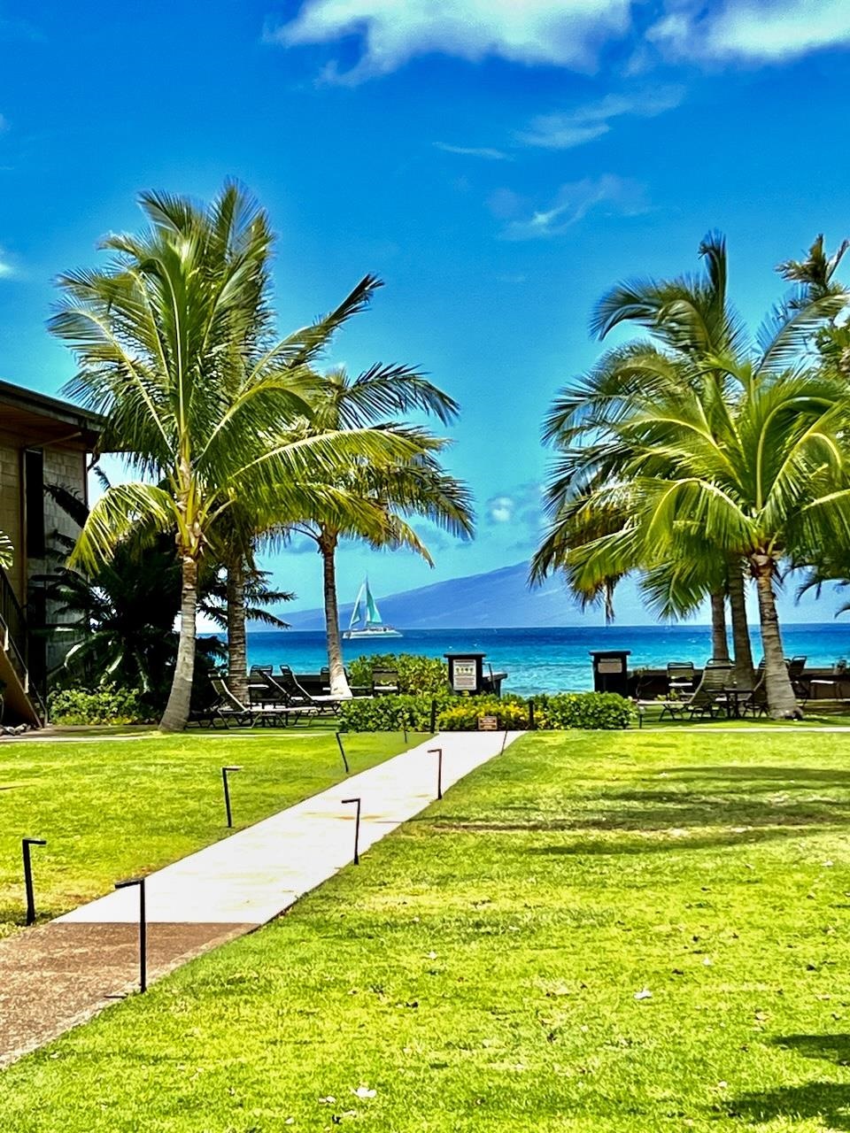 Maui Sands Seaside condo # 709, Lahaina, Hawaii - photo 42 of 49