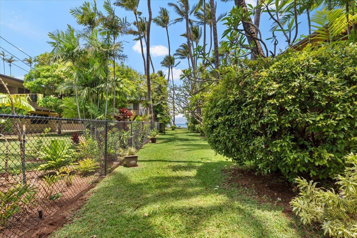 Maui Sands Seaside condo # 709, Lahaina, Hawaii - photo 15 of 49