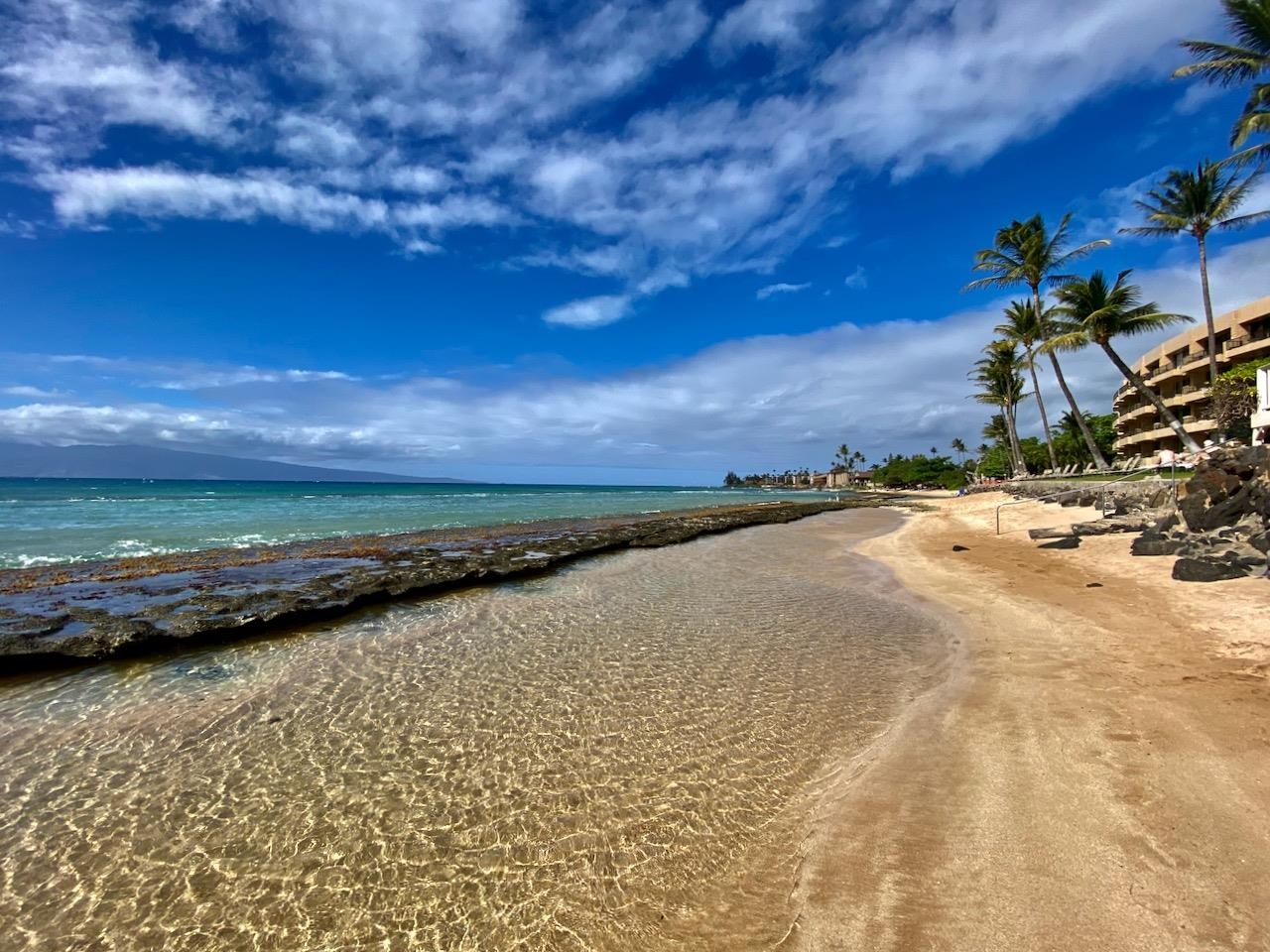 Maui Sands Seaside condo # 714, Lahaina, Hawaii - photo 4 of 30