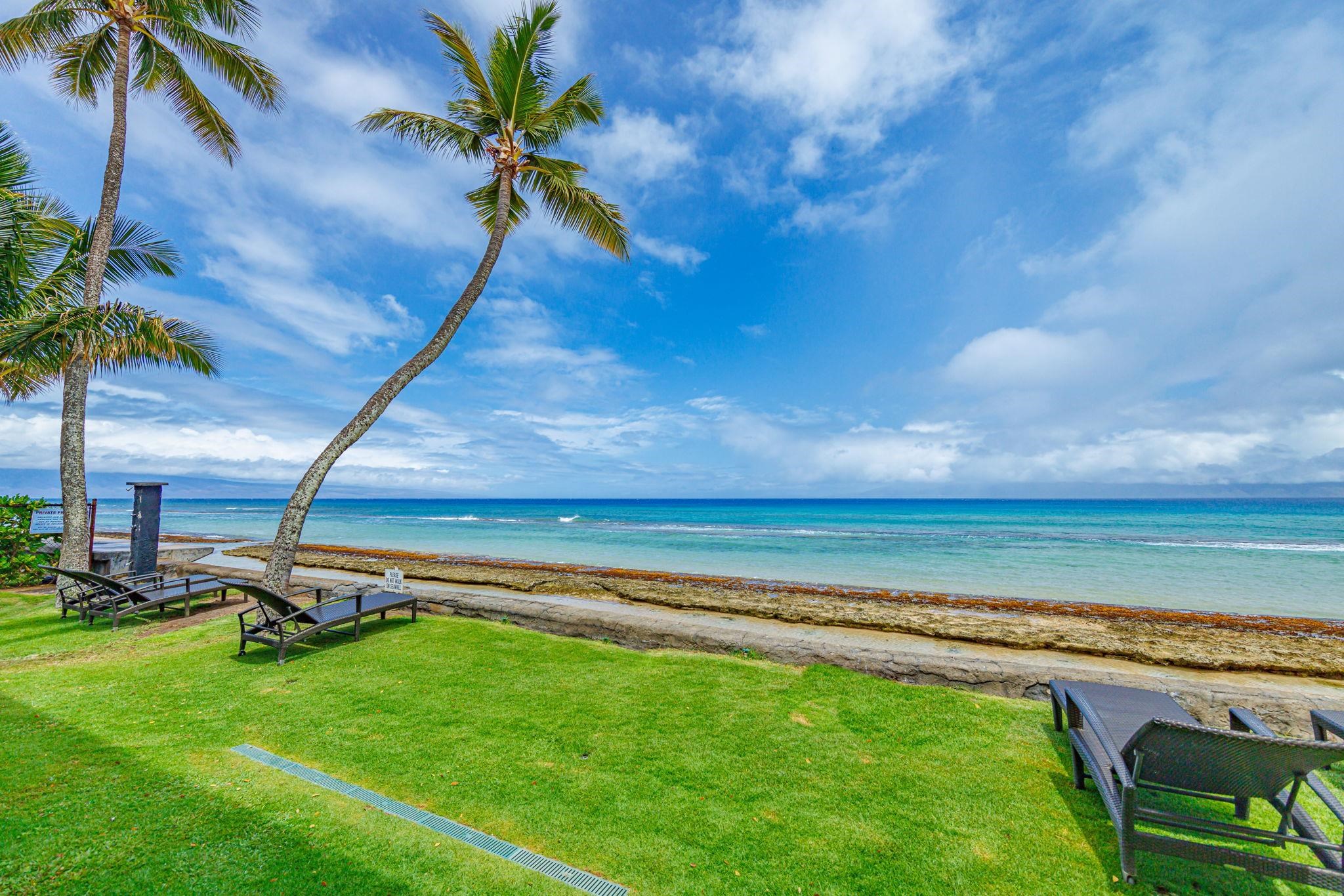 Maui Sands Seaside condo # 720, Lahaina, Hawaii - photo 2 of 36