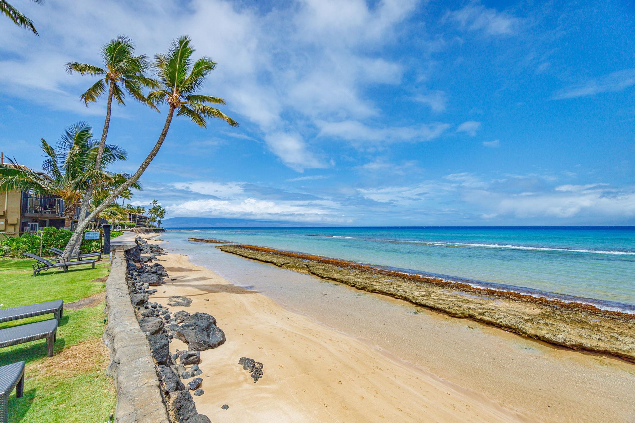 Maui Sands Seaside condo # 720, Lahaina, Hawaii - photo 33 of 36