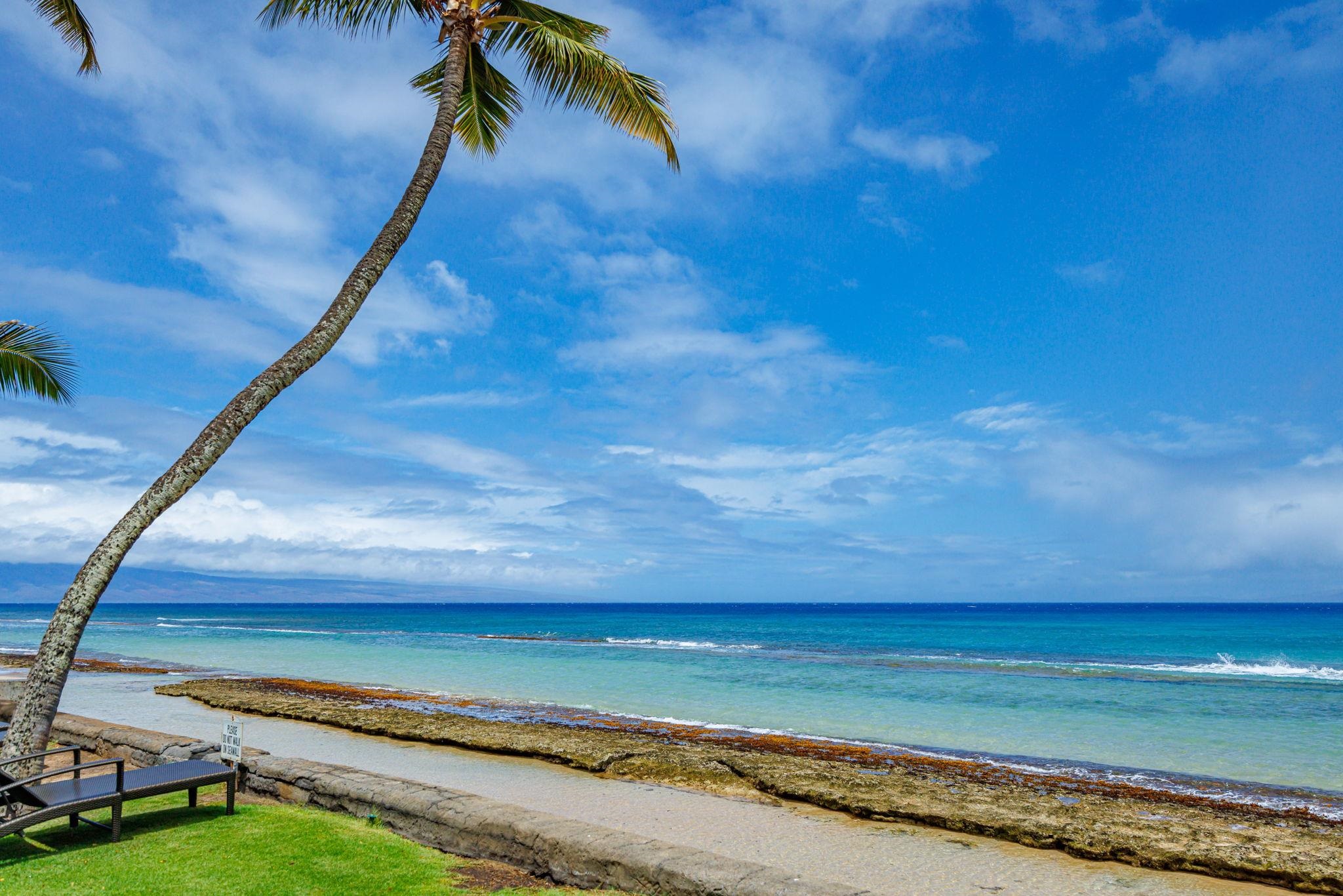 Maui Sands Seaside condo # 720, Lahaina, Hawaii - photo 34 of 36
