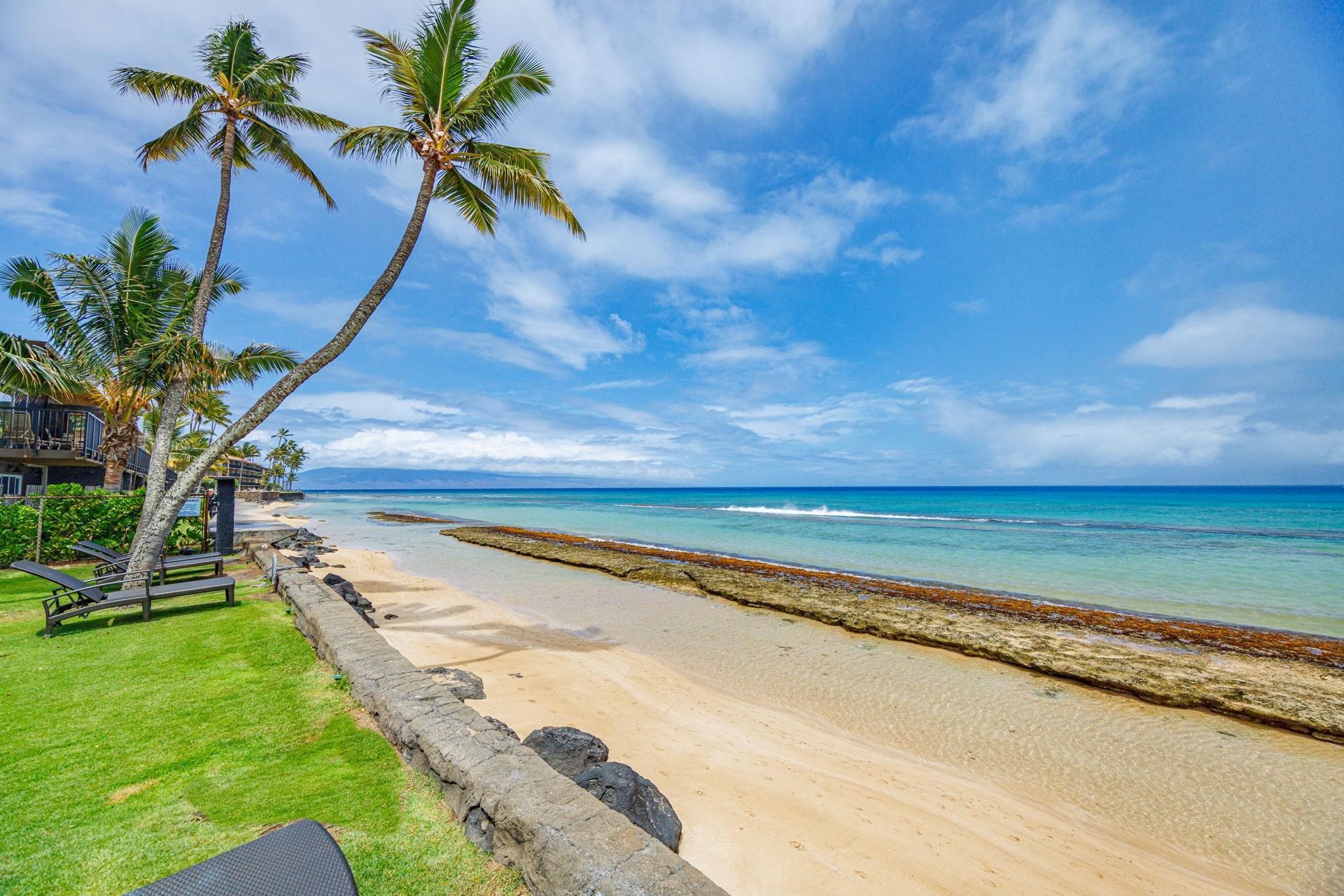 Maui Sands Seaside condo # 720, Lahaina, Hawaii - photo 35 of 36