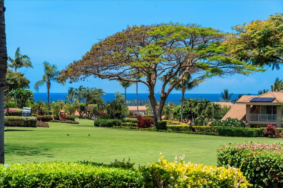 357  Umeke St Hokulani Golf Villas, Kihei home - photo 42 of 50