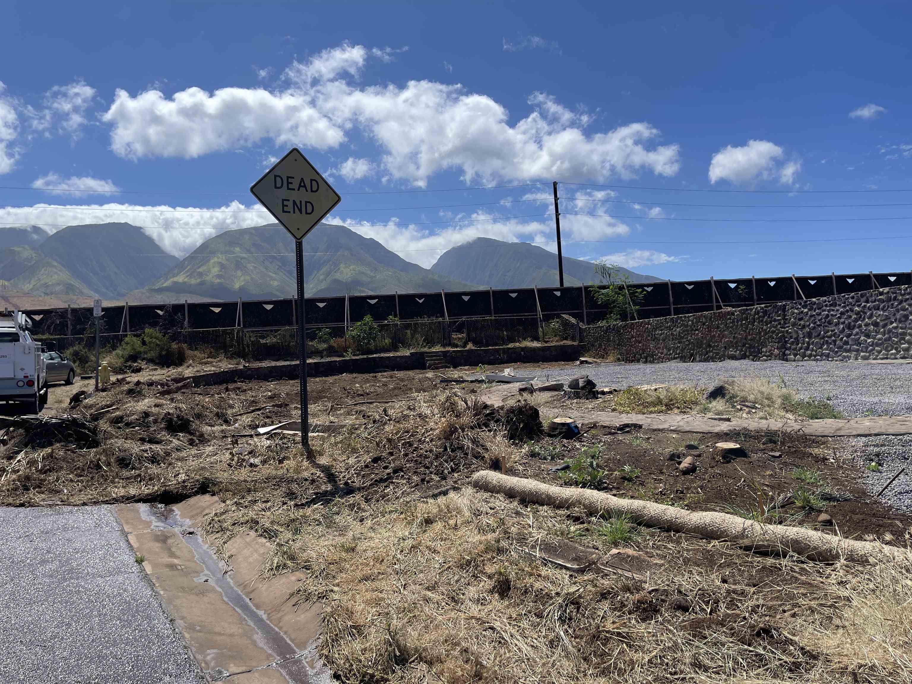 358 Aulike St 017 Lahaina, Hi vacant land for sale - photo 5 of 22