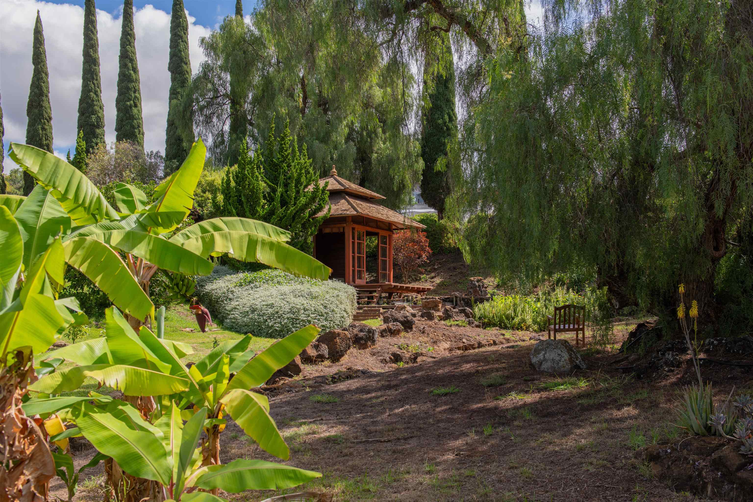 358  Holopuni Rd Kula Glen, Kula/Ulupalakua/Kanaio home - photo 3 of 50