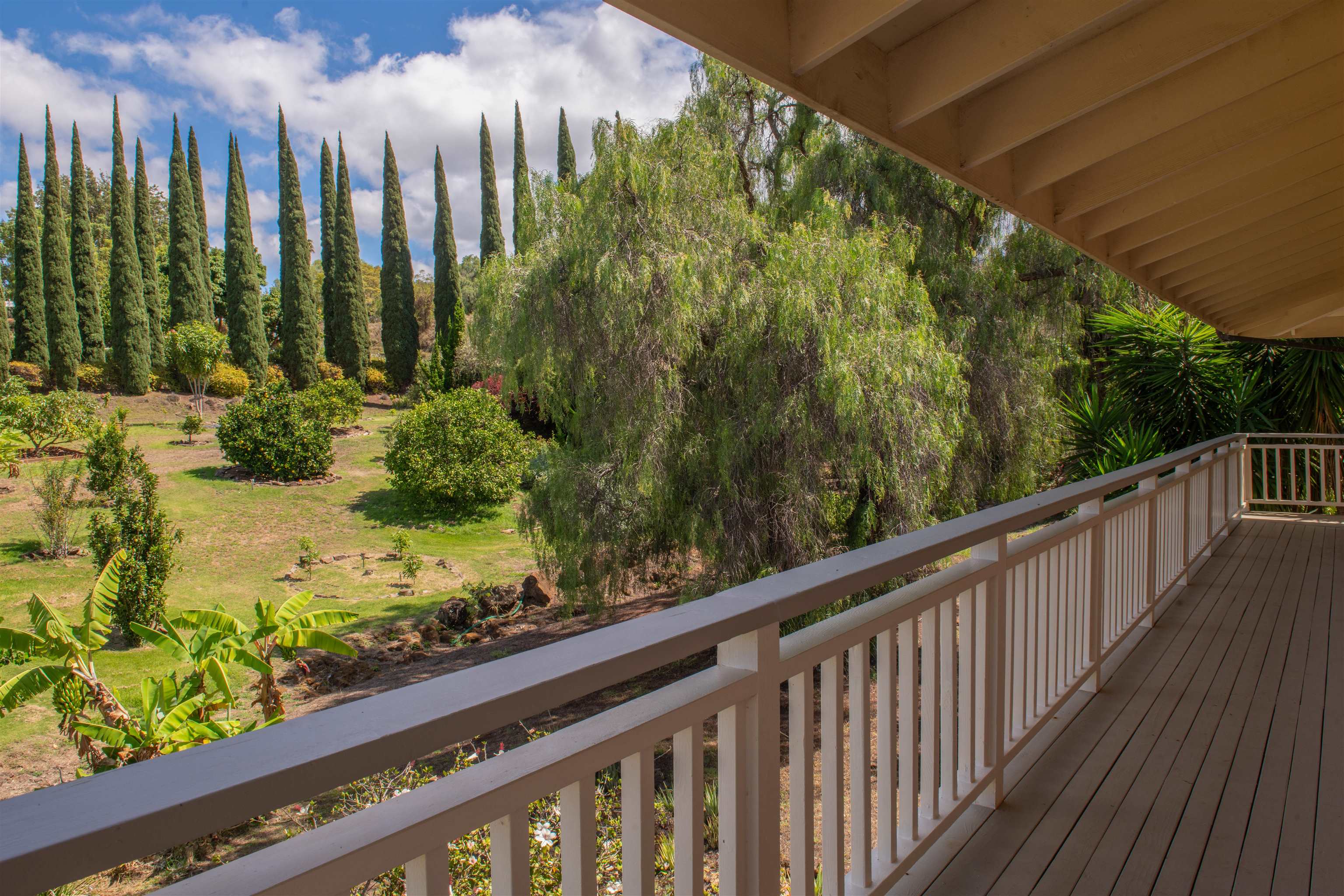 358  Holopuni Rd Kula Glen, Kula/Ulupalakua/Kanaio home - photo 24 of 50