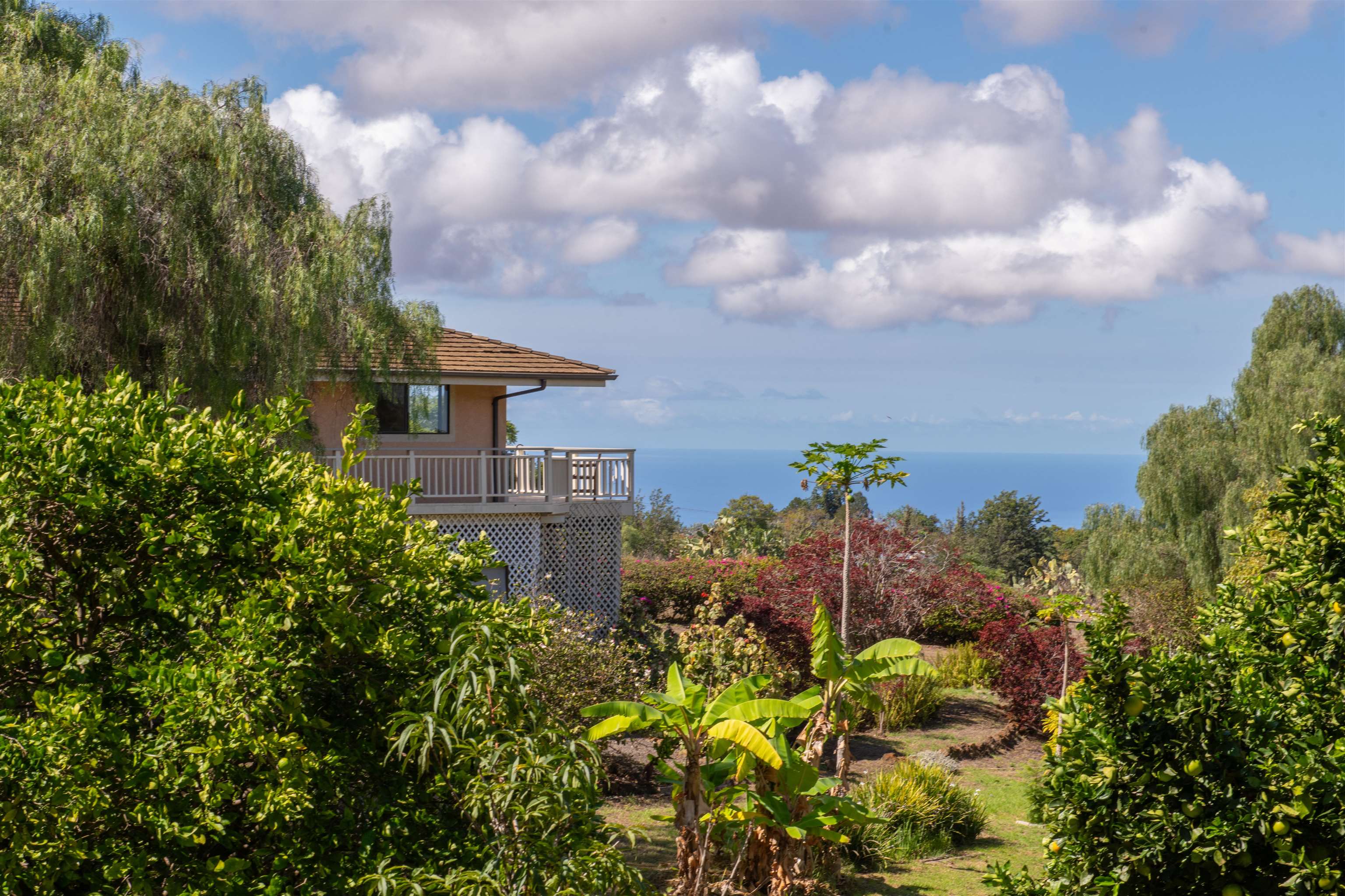 358  Holopuni Rd Kula Glen, Kula/Ulupalakua/Kanaio home - photo 4 of 50