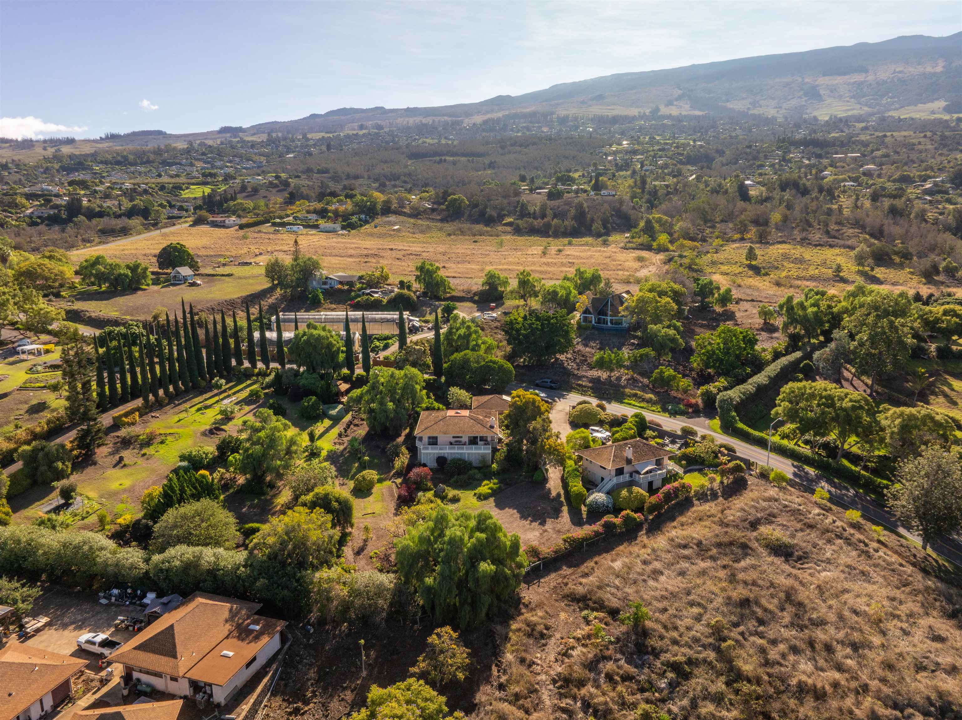 358  Holopuni Rd Kula Glen, Kula/Ulupalakua/Kanaio home - photo 39 of 50