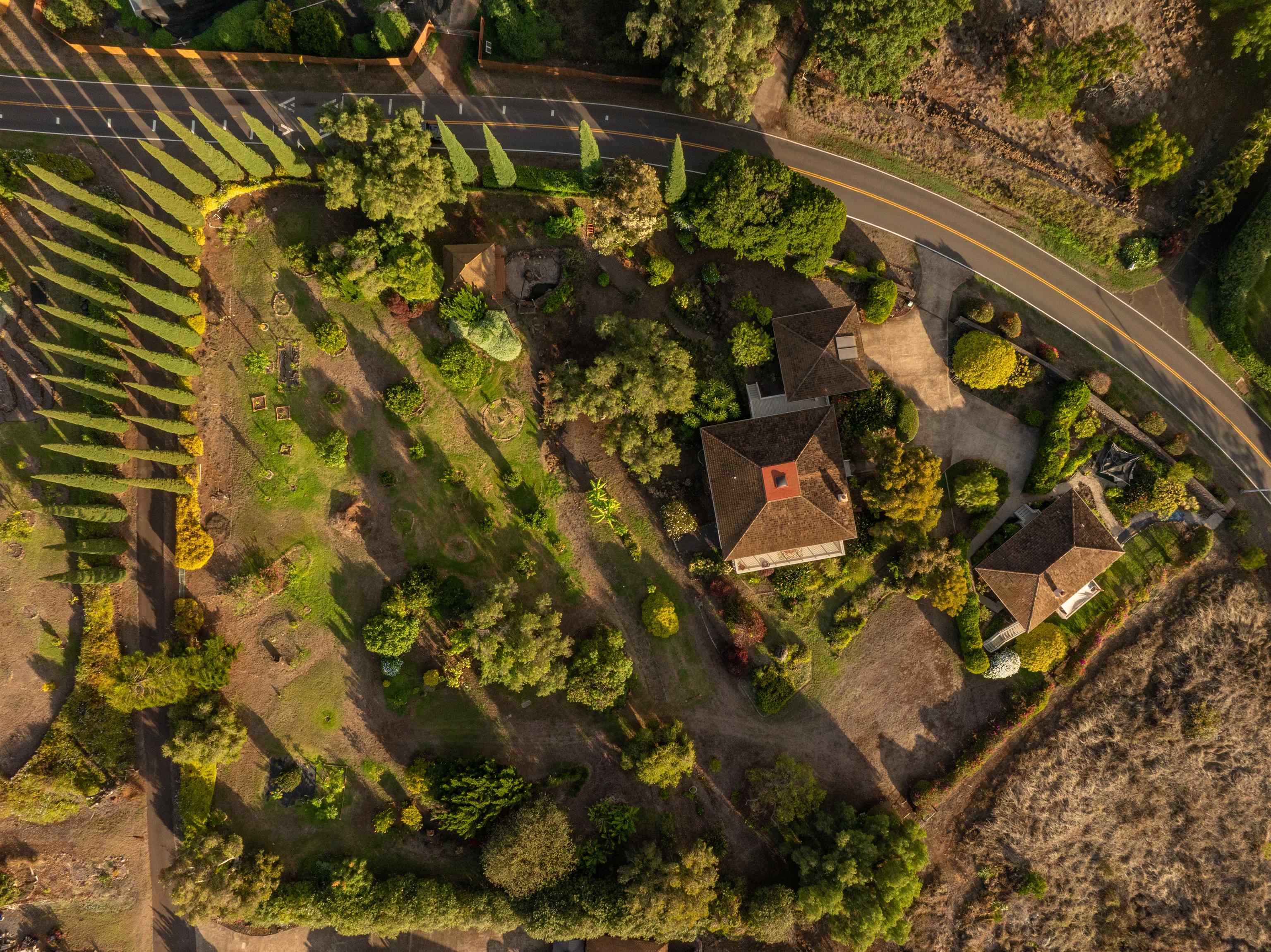 358  Holopuni Rd Kula Glen, Kula/Ulupalakua/Kanaio home - photo 5 of 50