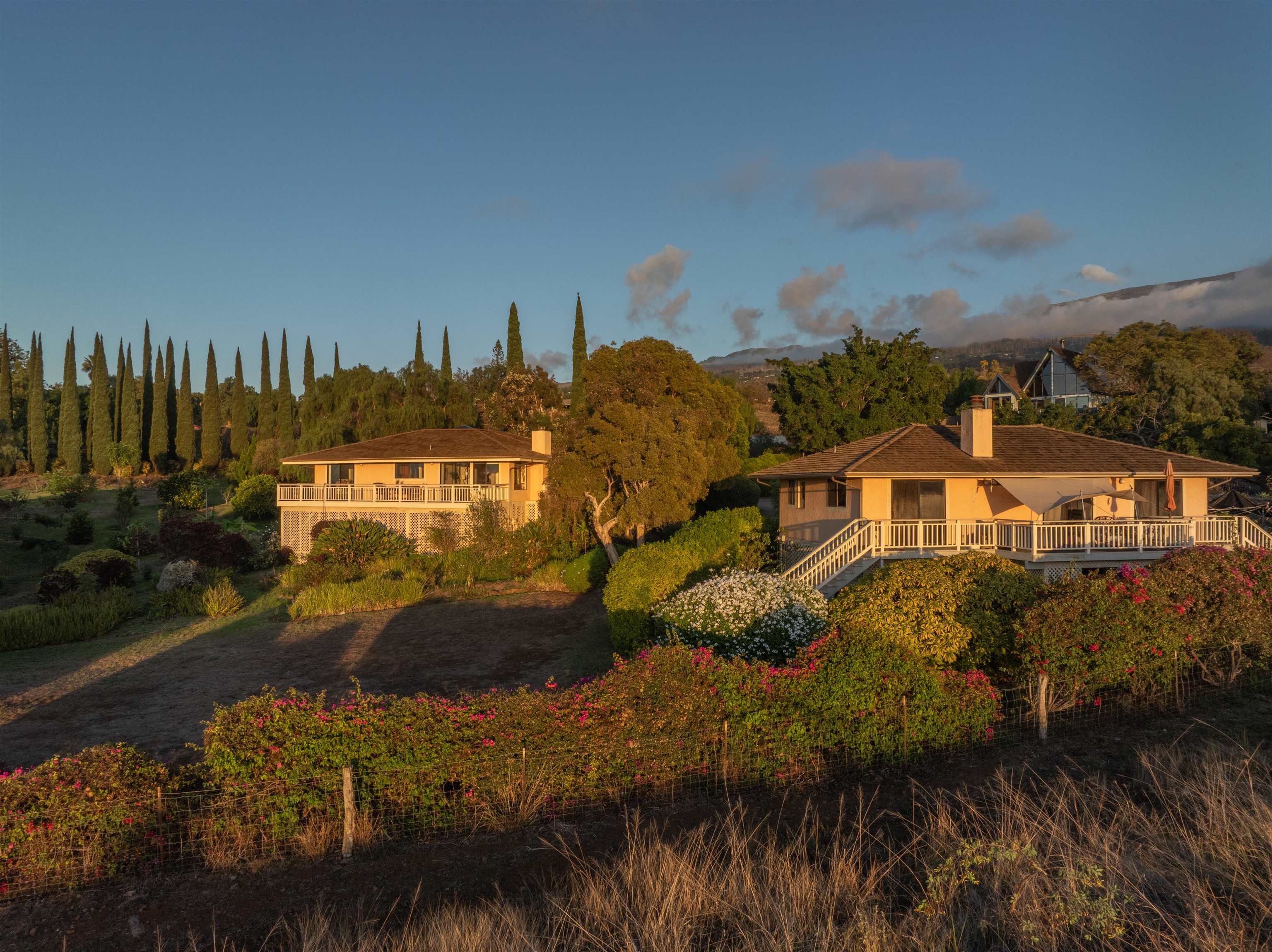358  Holopuni Rd Kula Glen, Kula/Ulupalakua/Kanaio home - photo 43 of 50