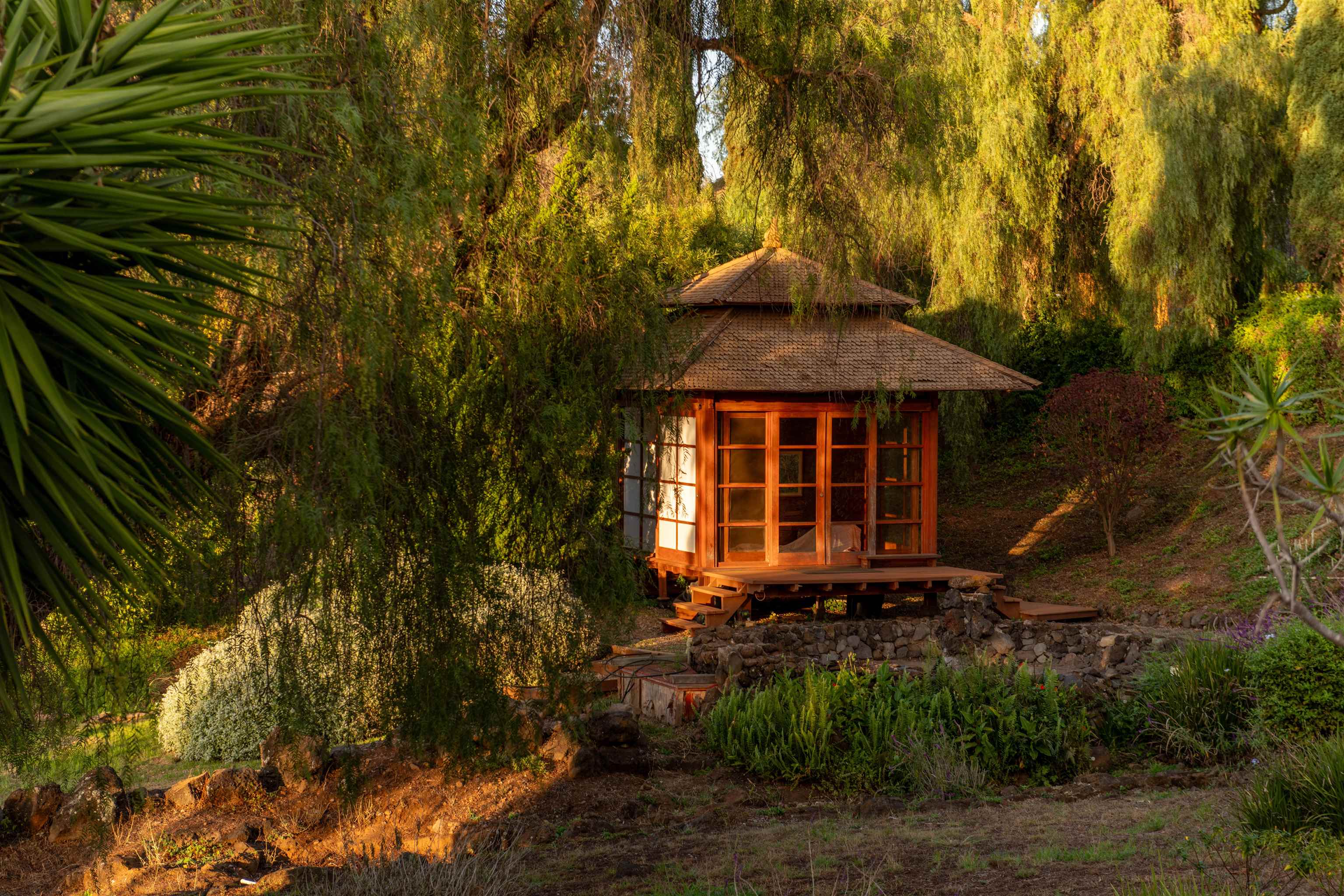 358  Holopuni Rd Kula Glen, Kula/Ulupalakua/Kanaio home - photo 44 of 50