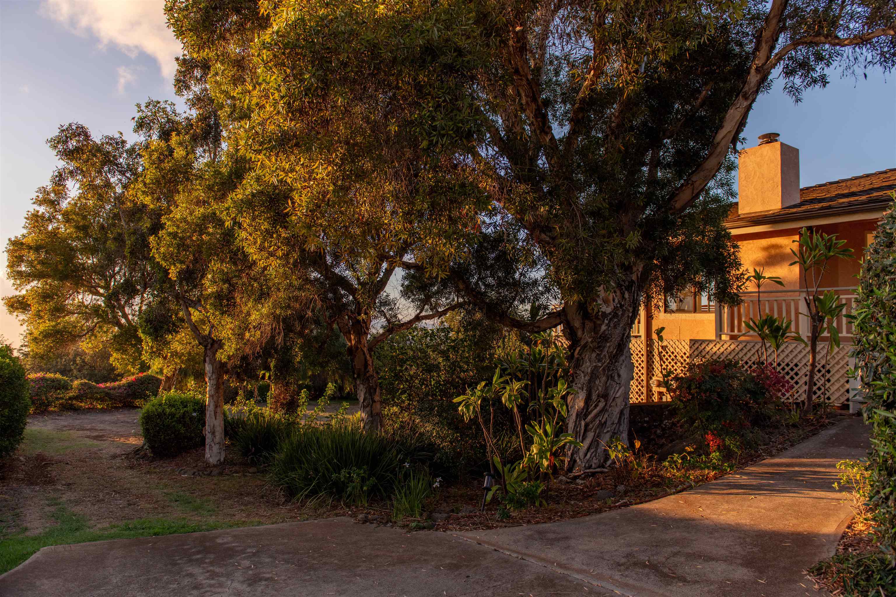 358  Holopuni Rd Kula Glen, Kula/Ulupalakua/Kanaio home - photo 46 of 50