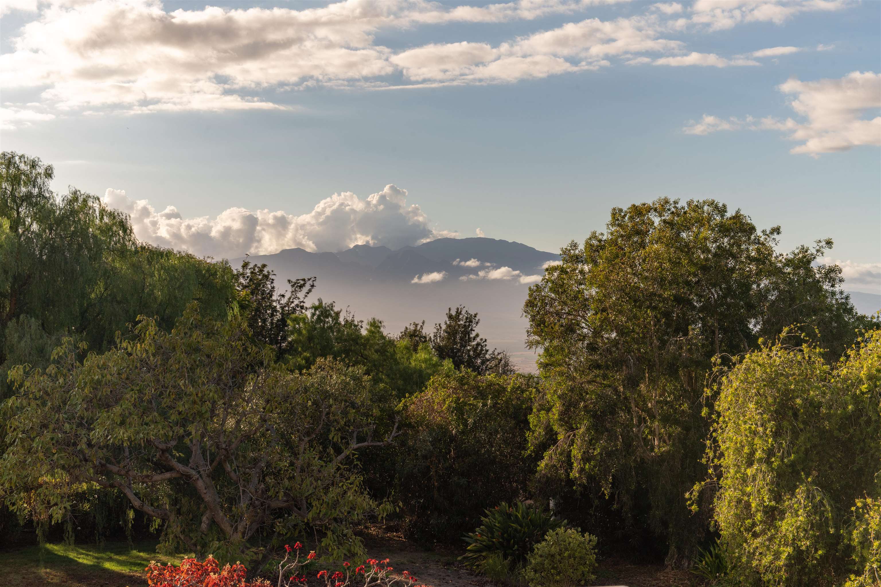 358  Holopuni Rd Kula Glen, Kula/Ulupalakua/Kanaio home - photo 47 of 50