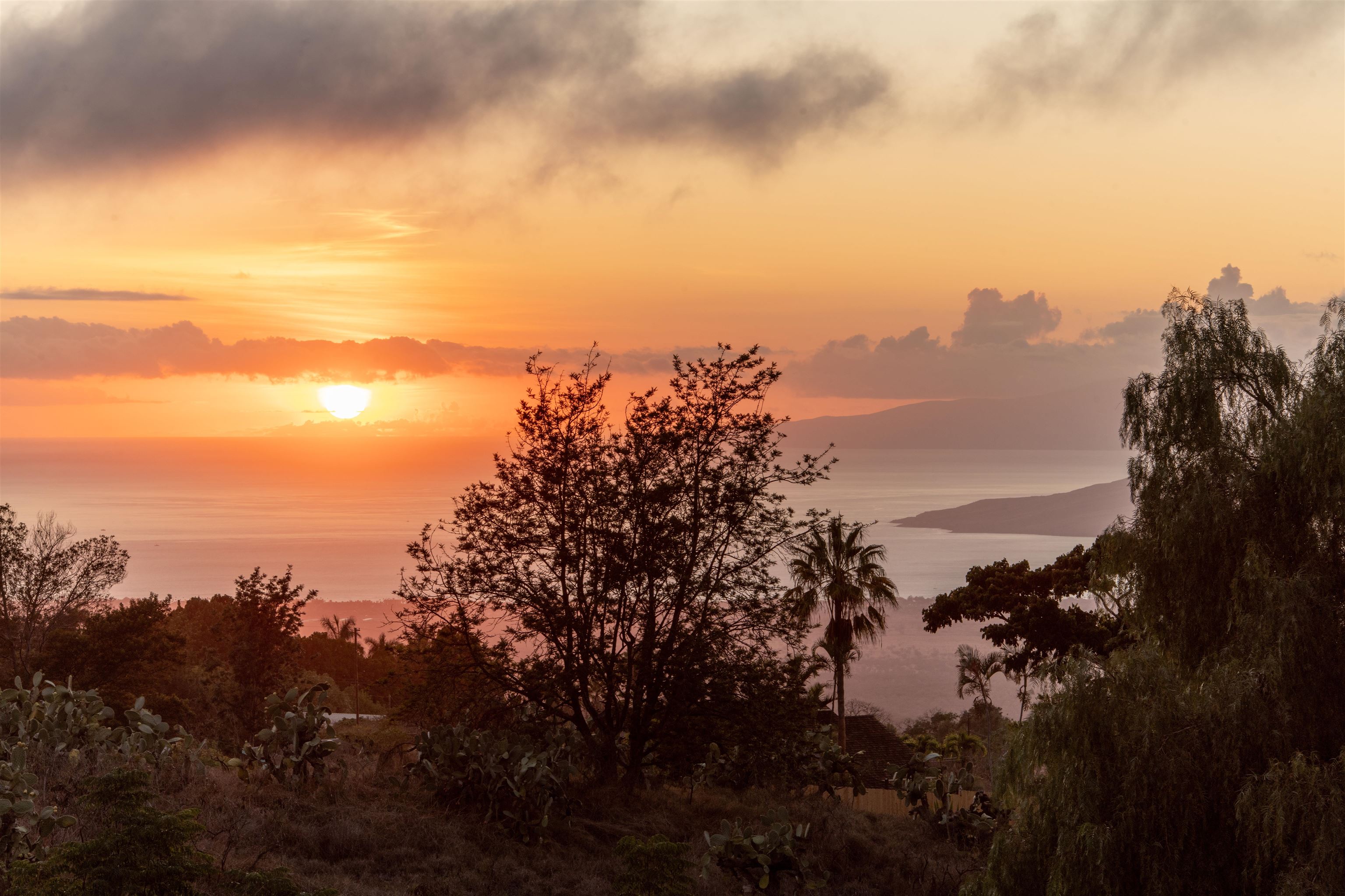 358  Holopuni Rd Kula Glen, Kula/Ulupalakua/Kanaio home - photo 50 of 50