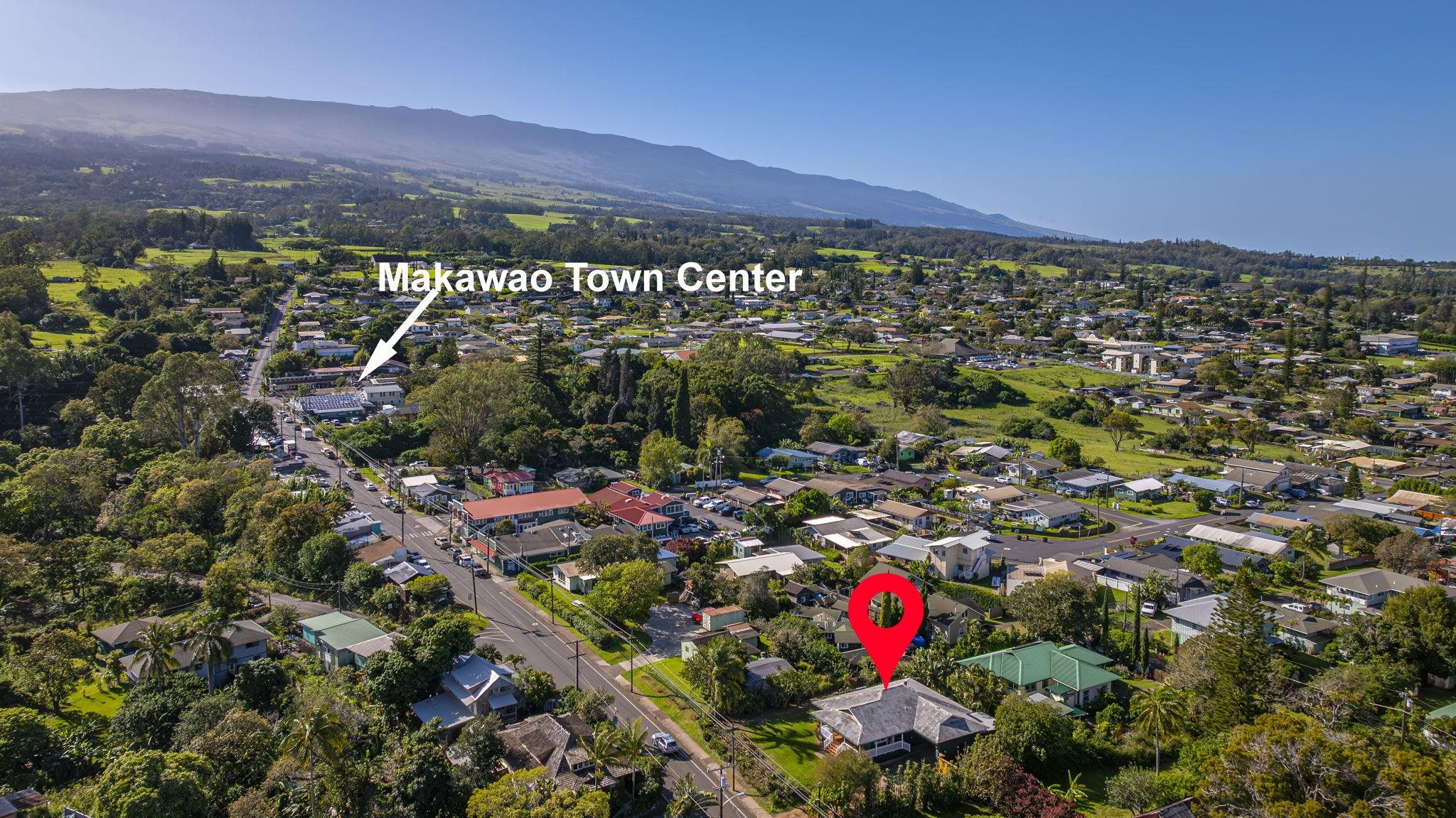 3584  Baldwin Ave , Makawao/Olinda/Haliimaile home - photo 46 of 49