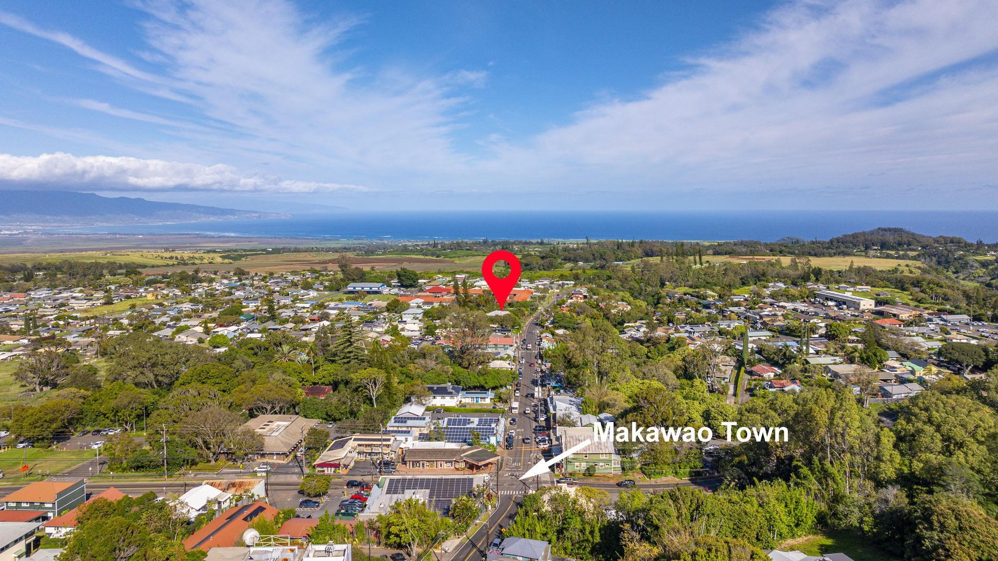 3584  Baldwin Ave , Makawao/Olinda/Haliimaile home - photo 47 of 49