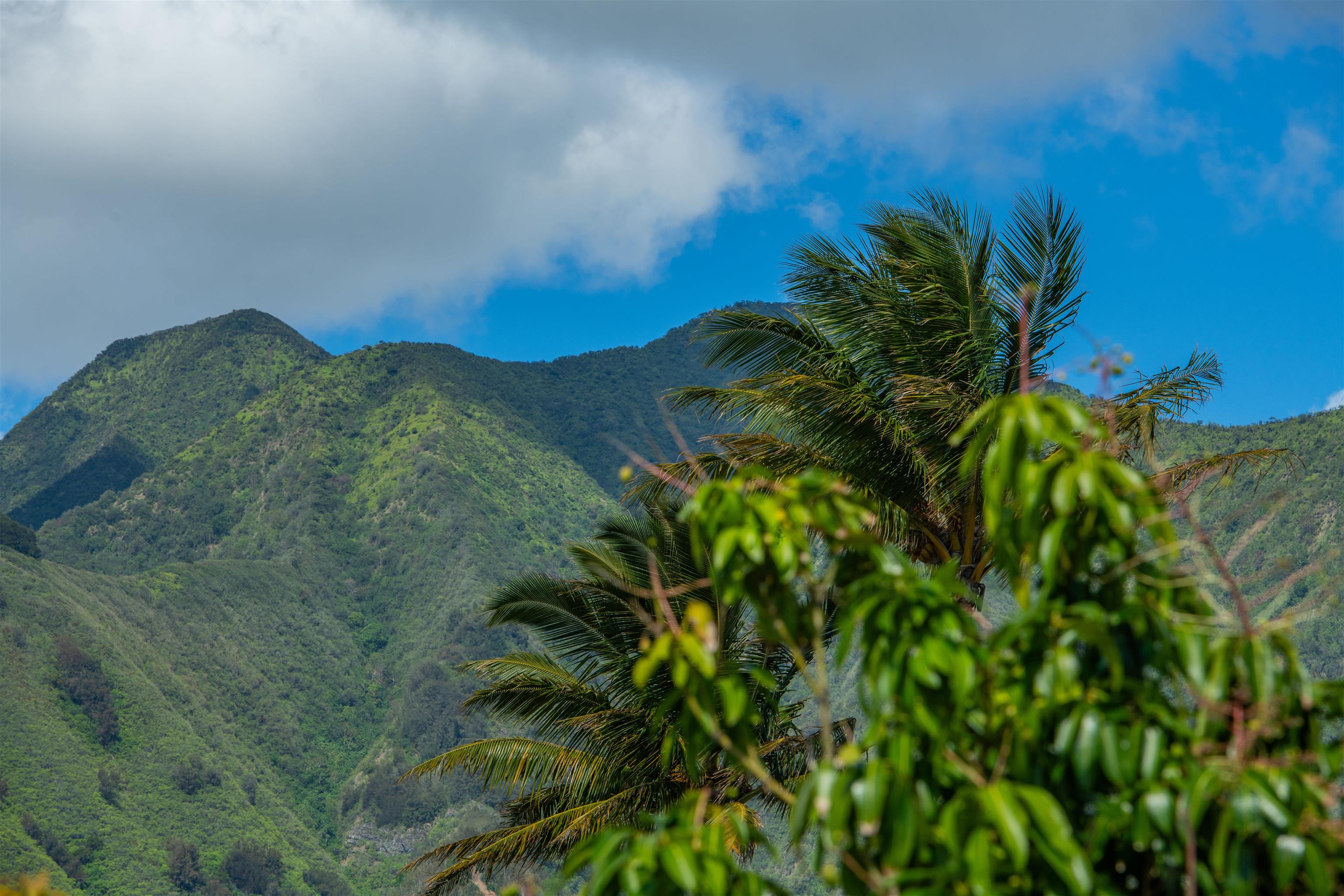 36  Kaikai St Waikapu Gardens, Wailuku home - photo 5 of 48