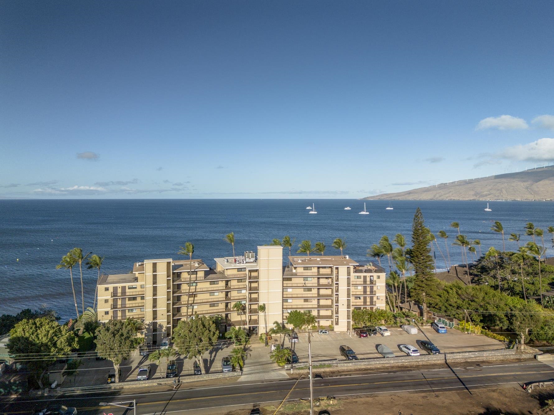 Kihei Beach condo # 101, Kihei, Hawaii - photo 36 of 39