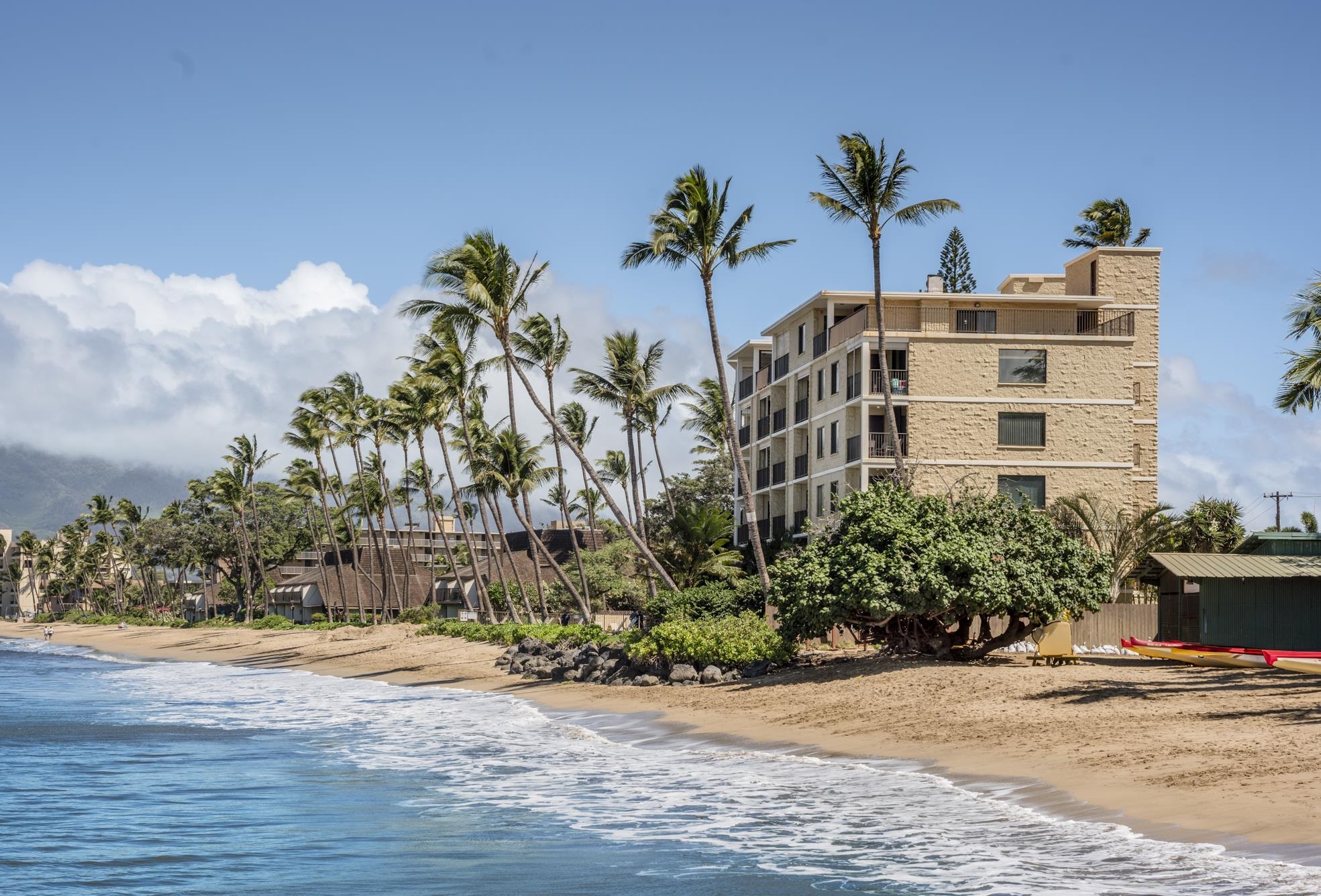 Kihei Beach condo # 101, Kihei, Hawaii - photo 37 of 39