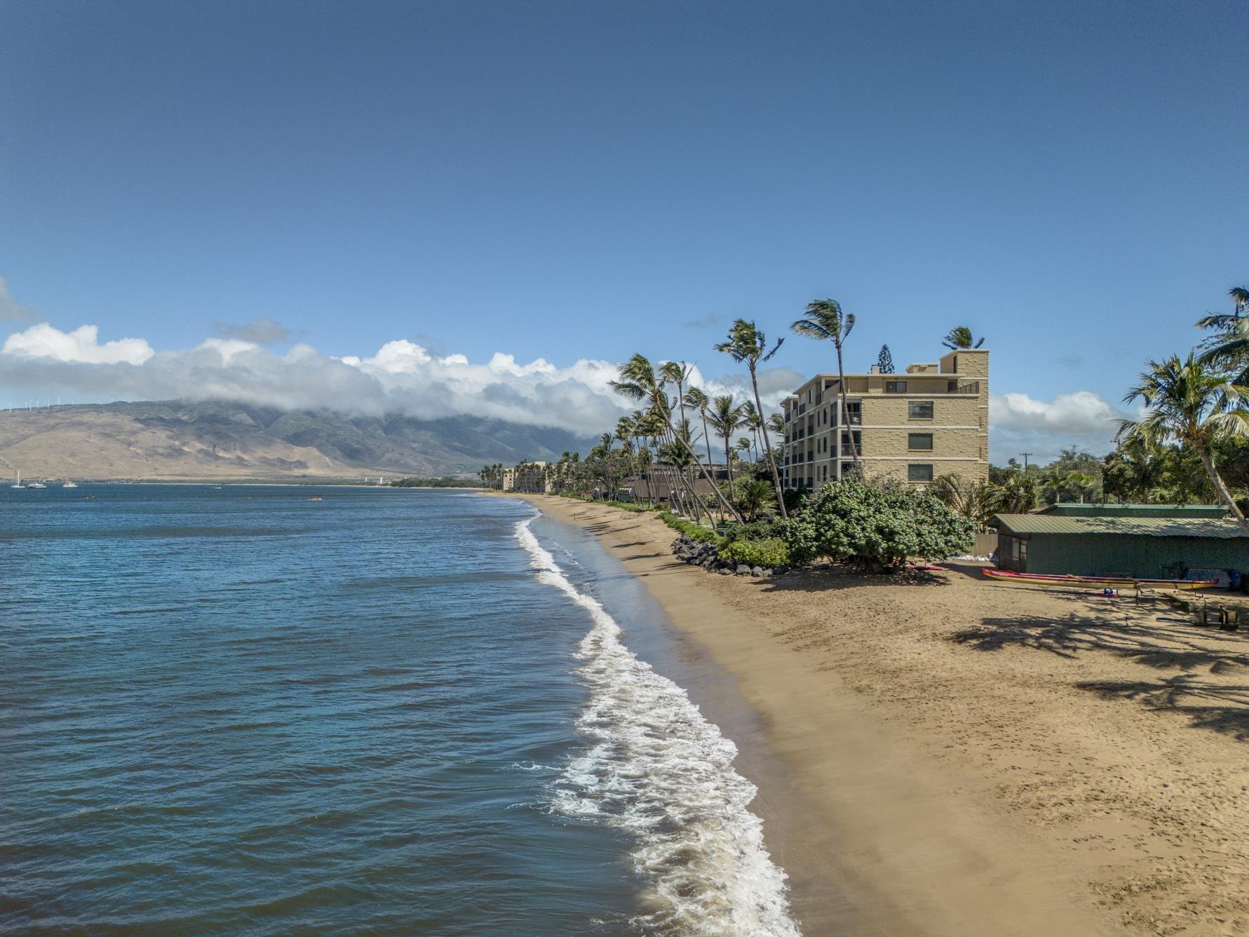 Kihei Beach condo # 101, Kihei, Hawaii - photo 38 of 39