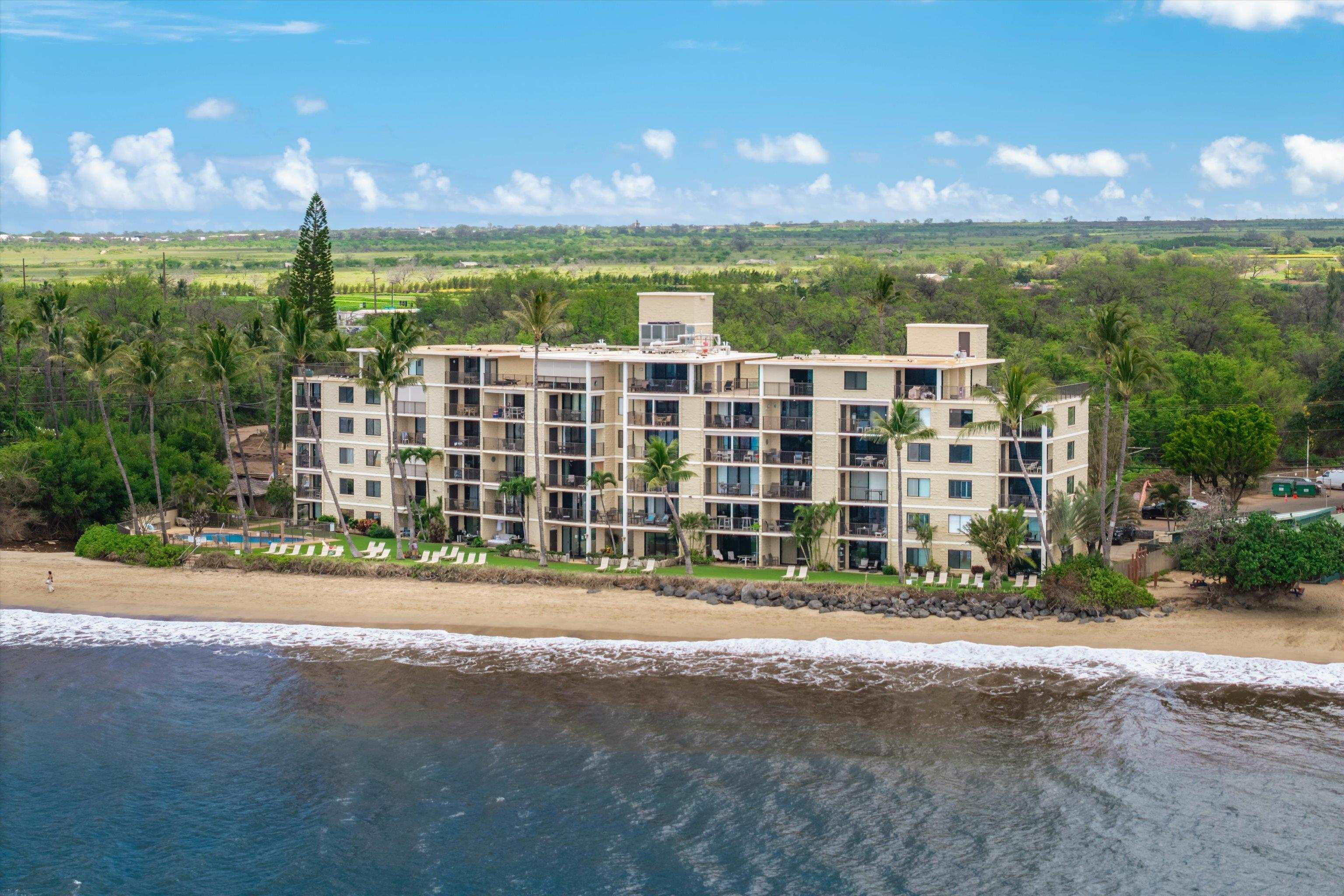 Kihei Beach condo # 108, Kihei, Hawaii - photo 12 of 35