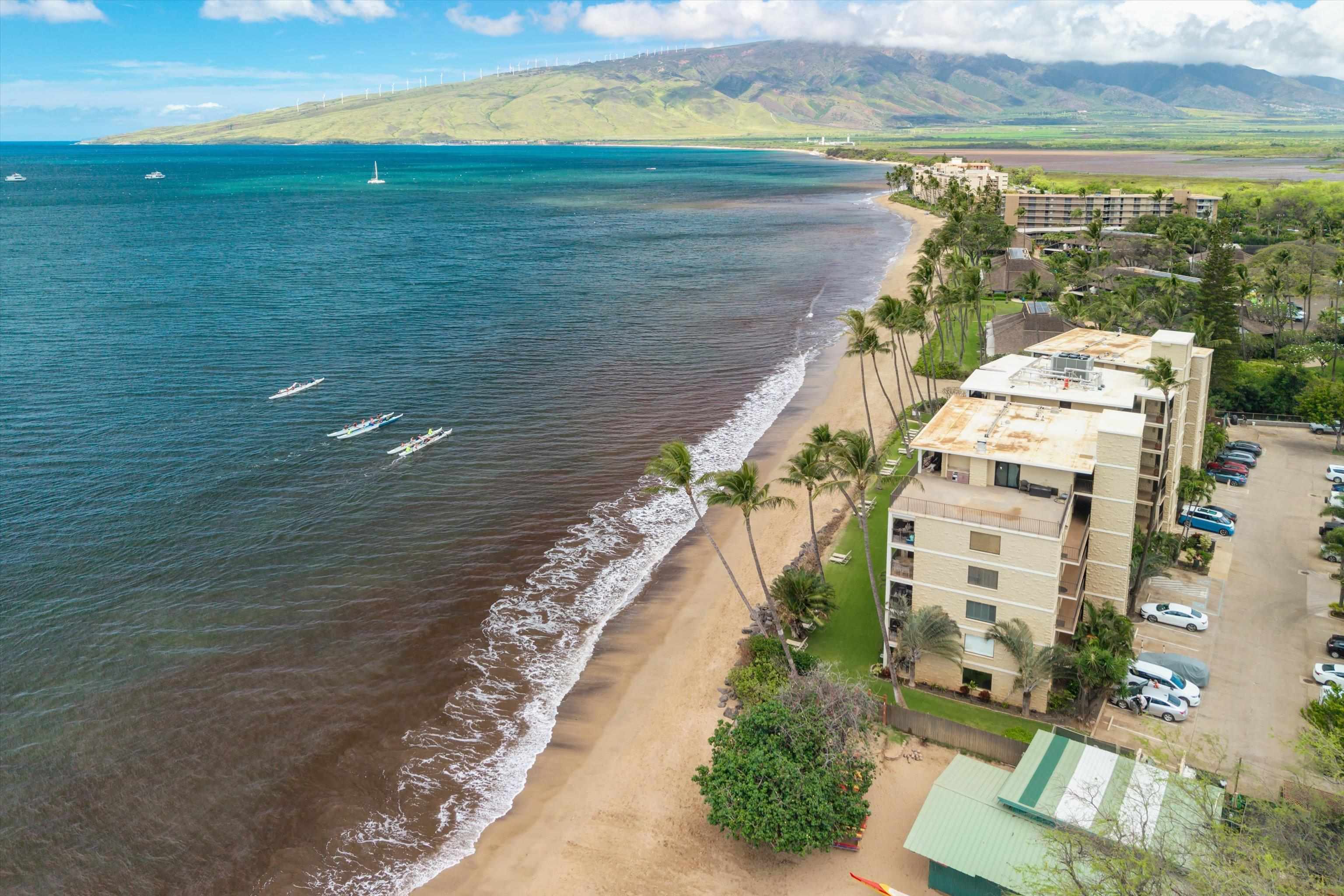 Kihei Beach condo # 108, Kihei, Hawaii - photo 32 of 35
