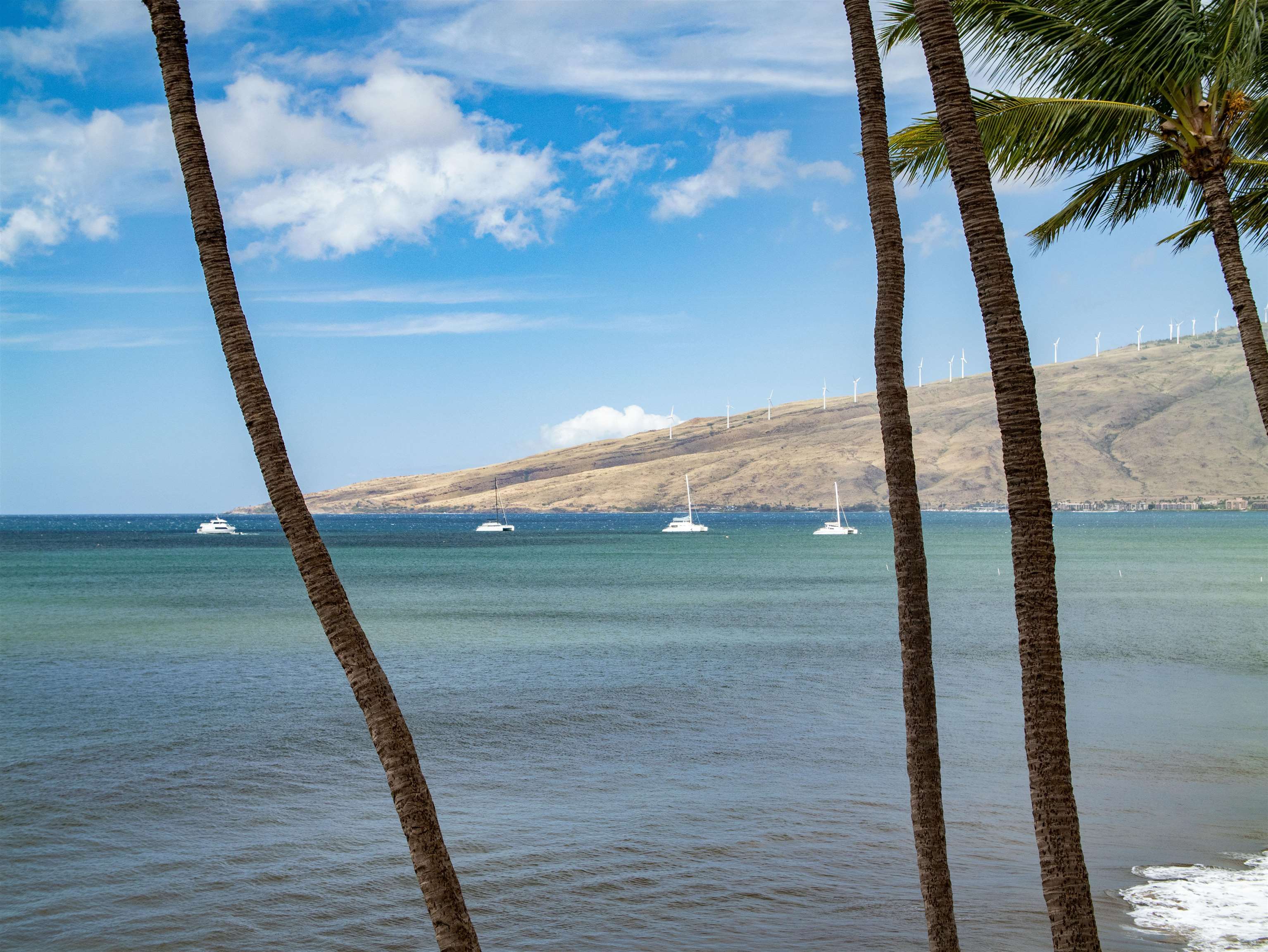Kihei Beach condo # 405, Kihei, Hawaii - photo 24 of 42