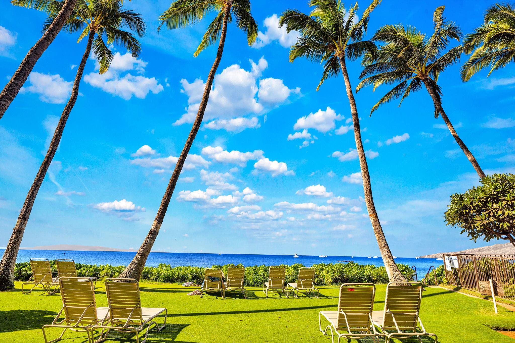 Kihei Beach condo # 410, Kihei, Hawaii - photo 34 of 41